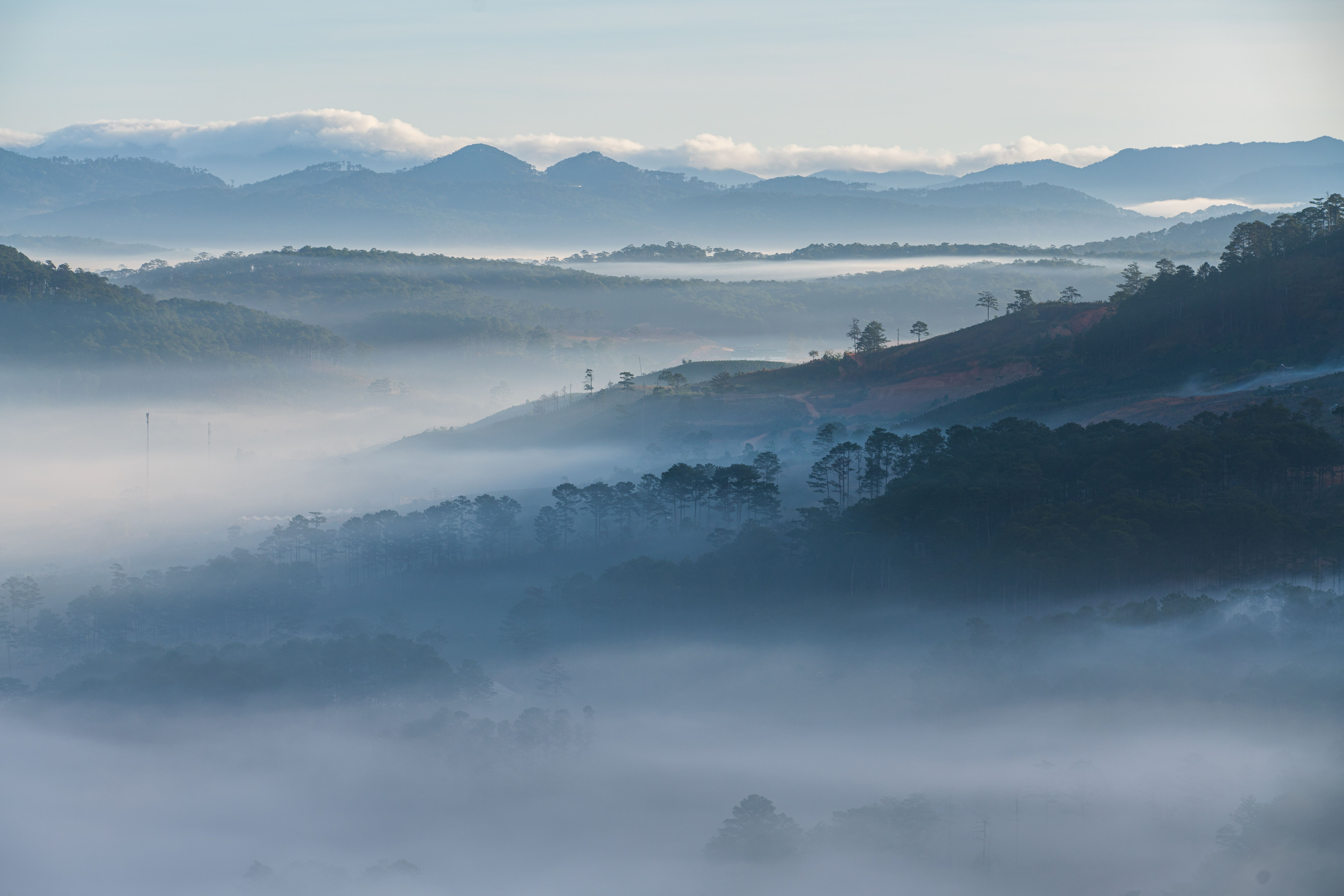 Foggy day in Dasar Foggy day in Dasar