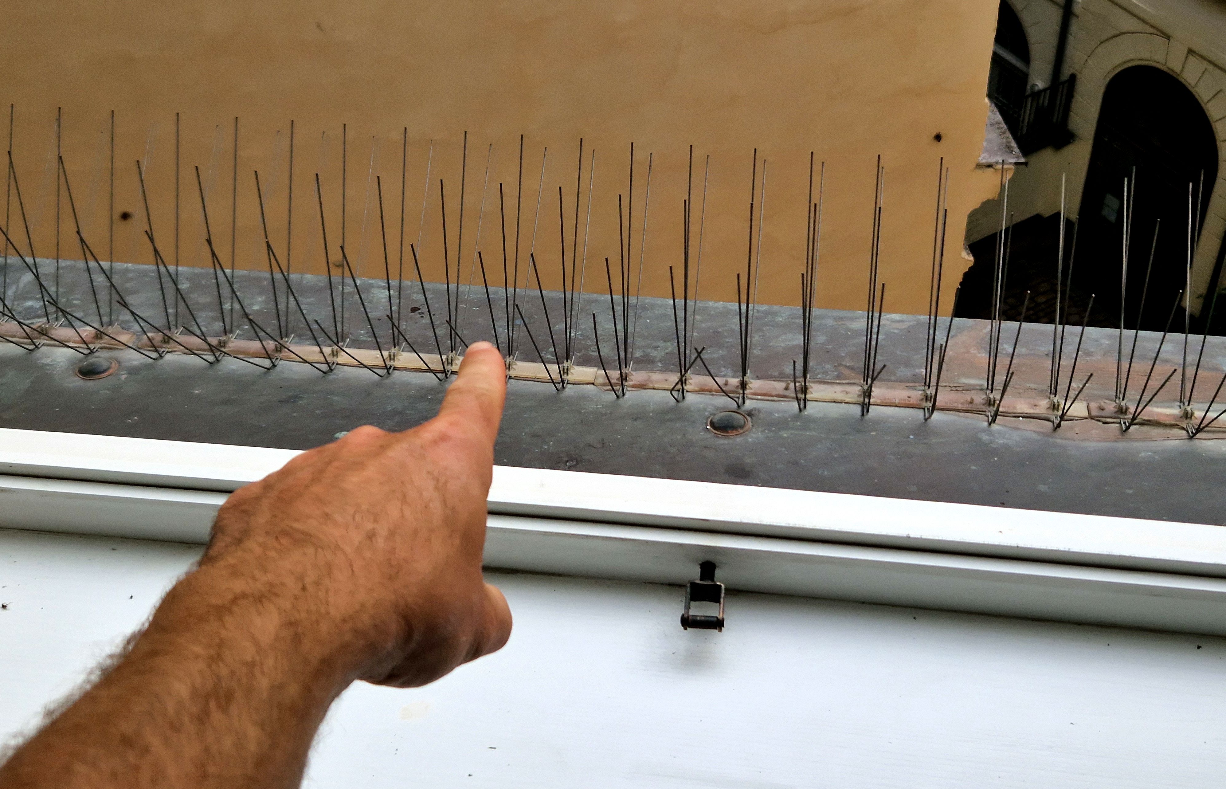 installing bird diverters