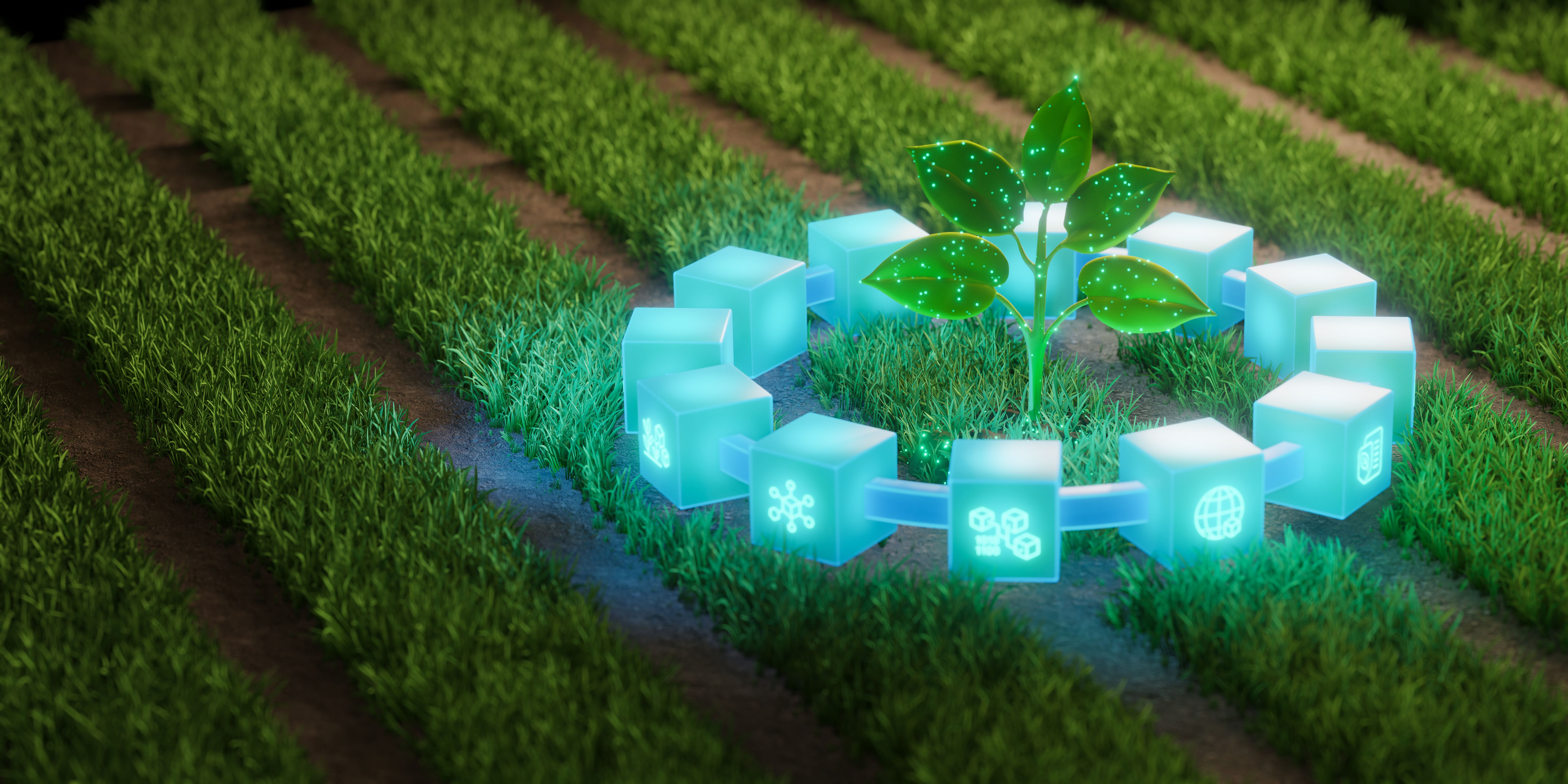 organic farm blockchain