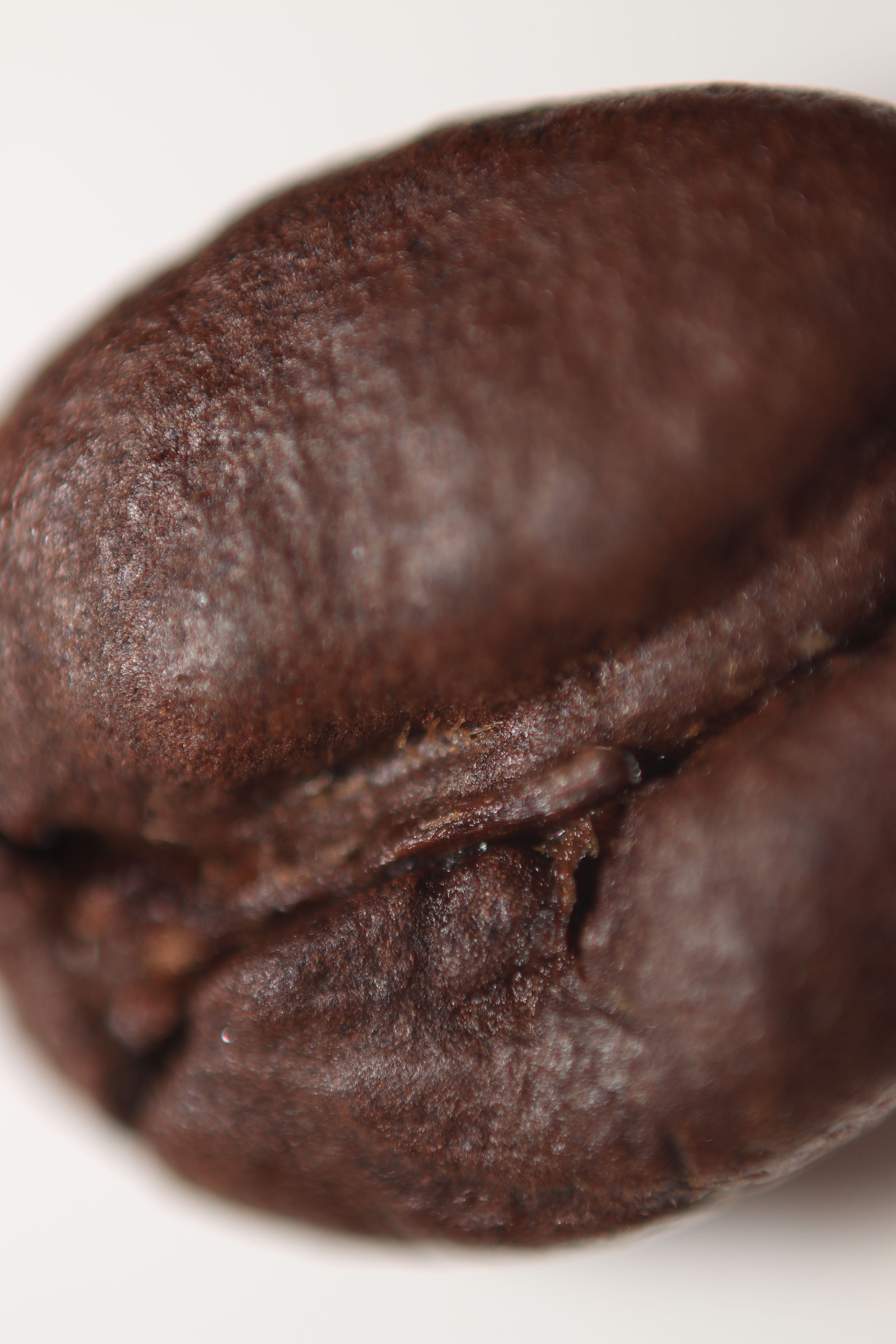 coffeeroaster closeup