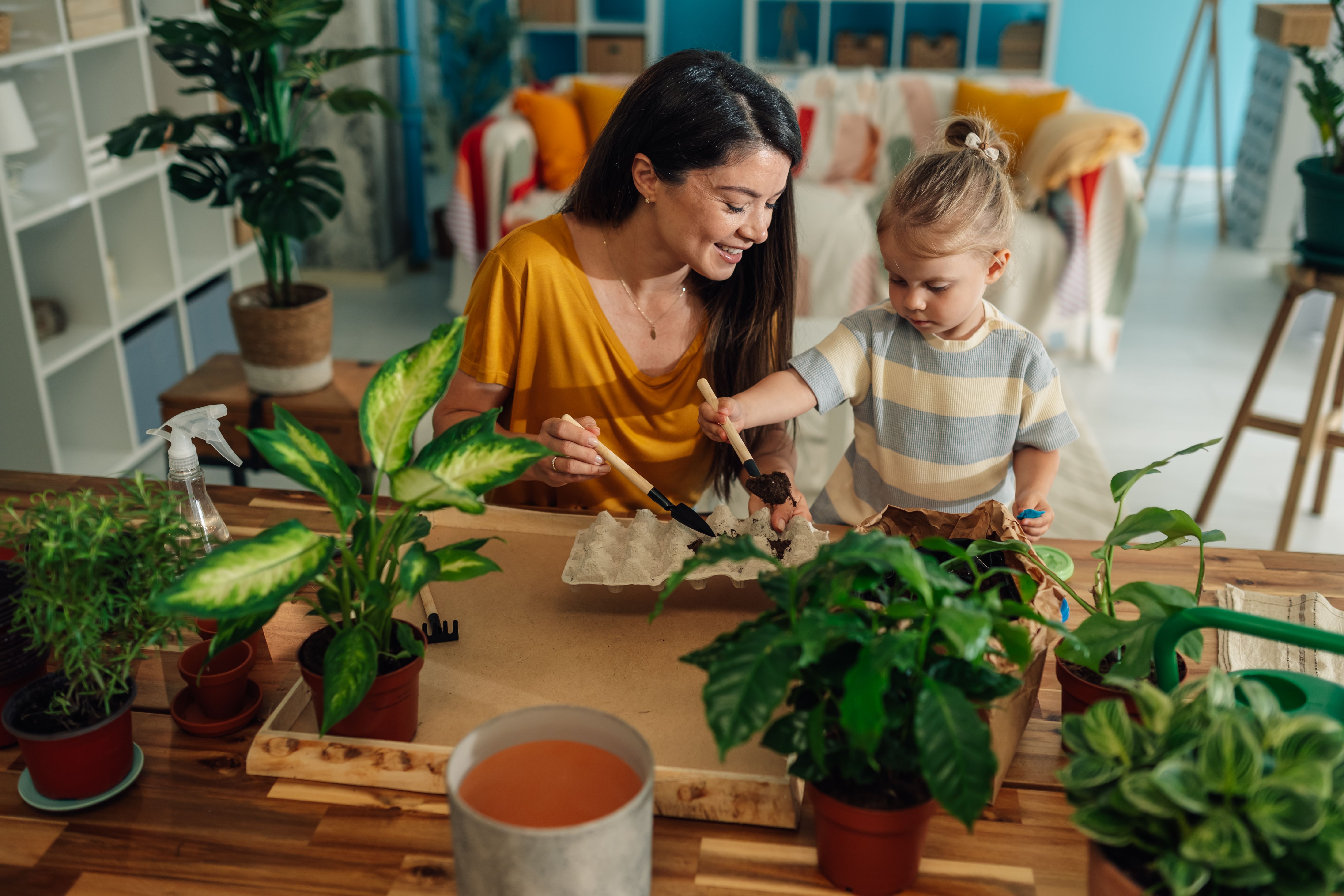 indoor seed starting