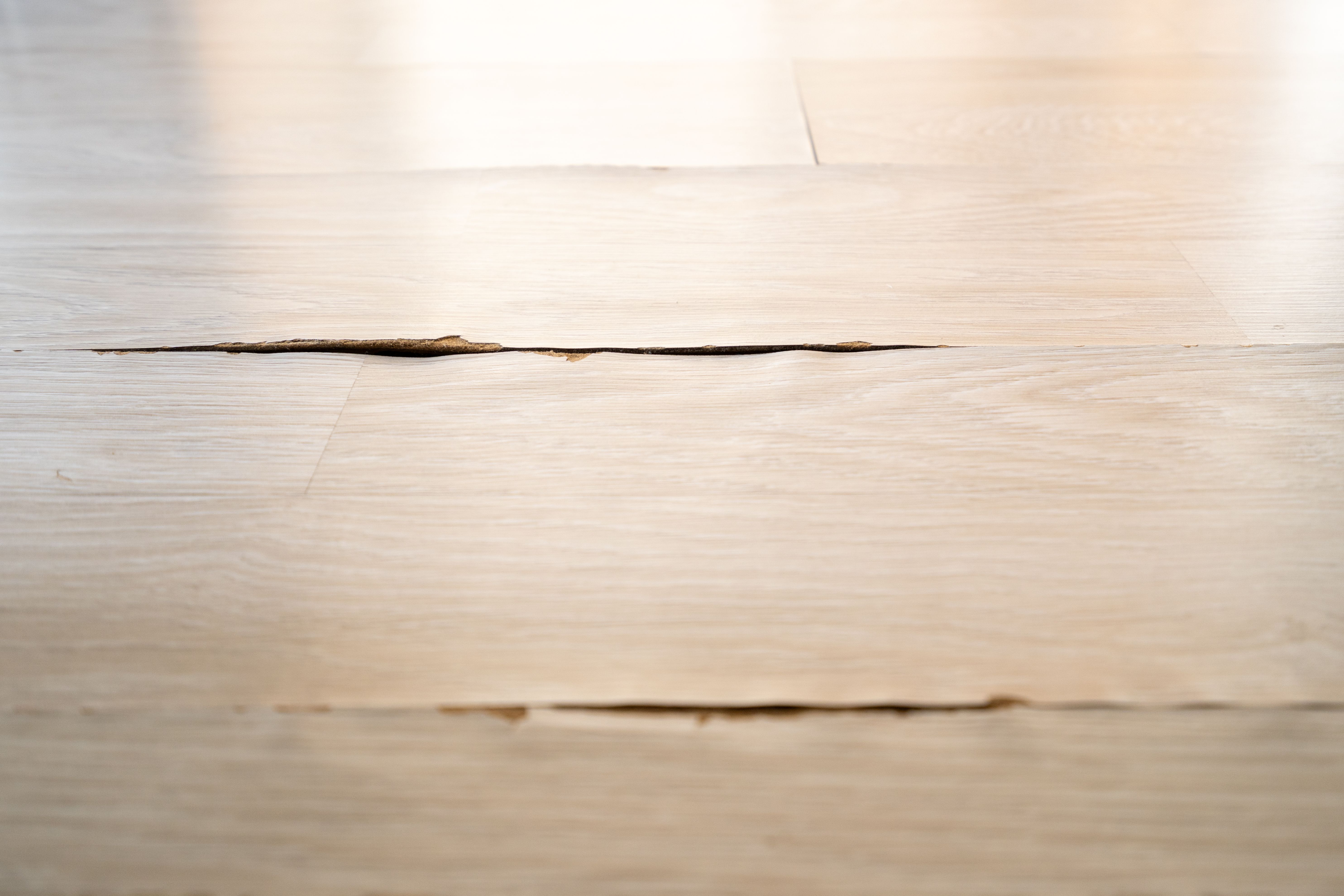 floor restoration process