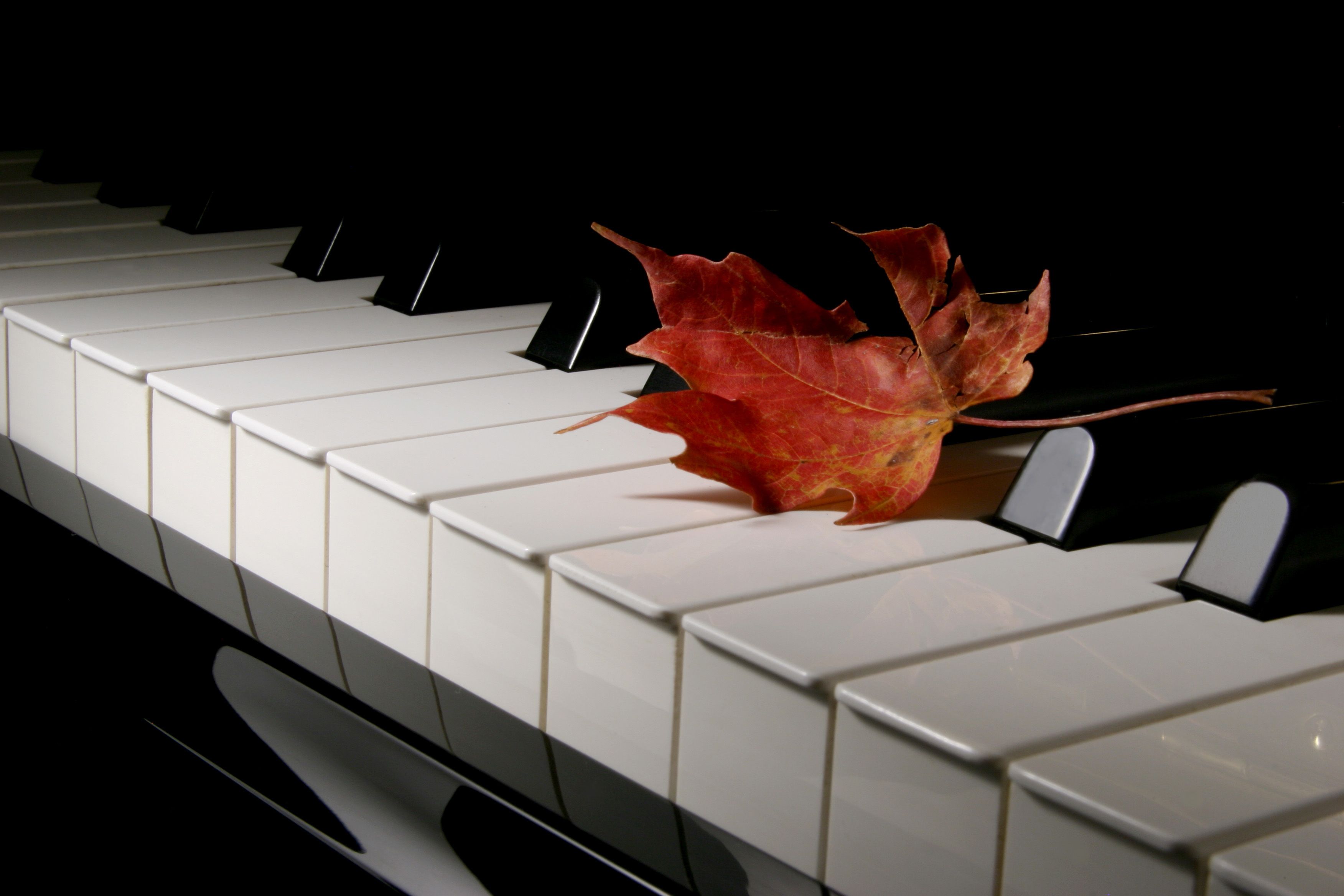 autumn piano