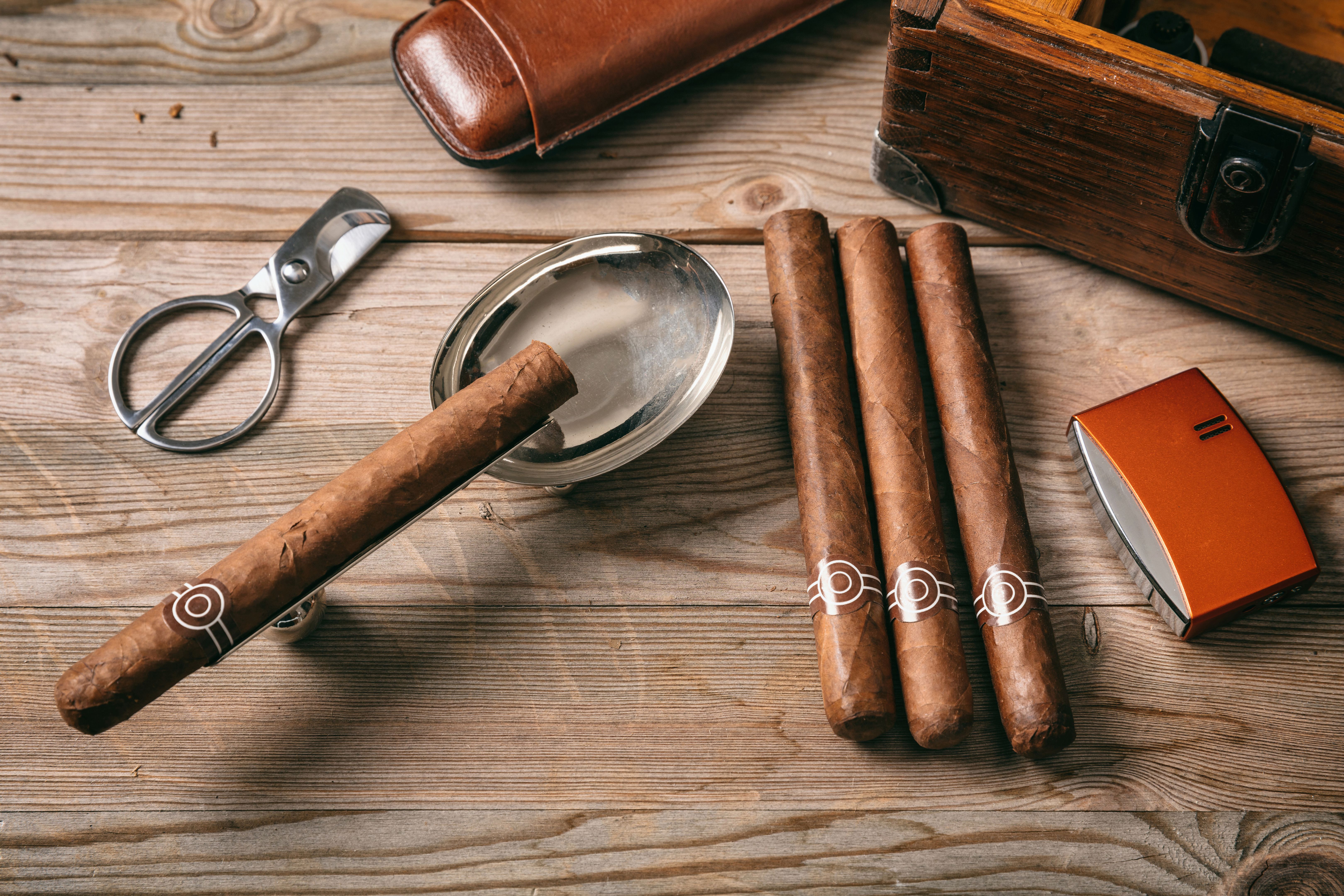 travel case cigars