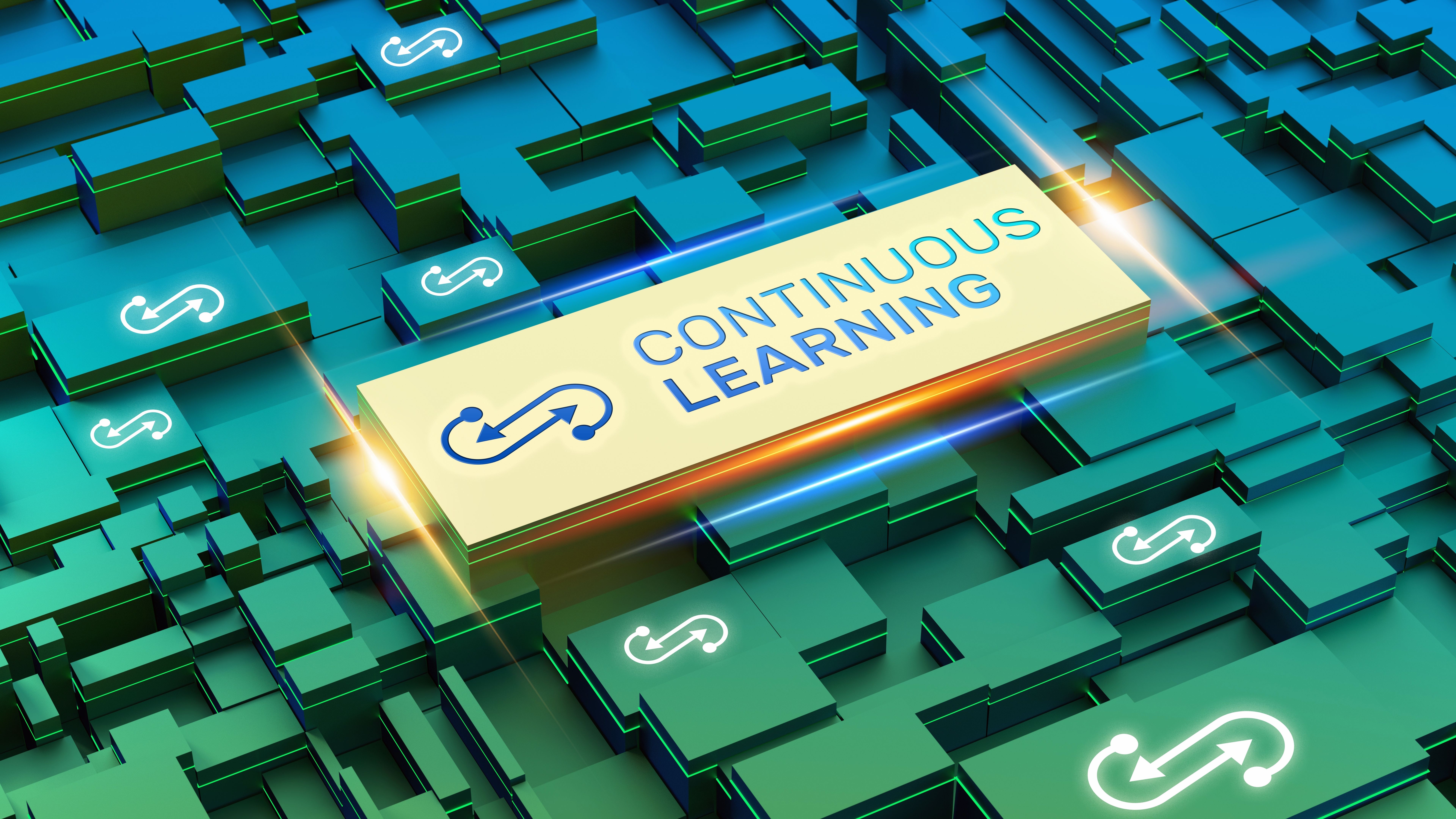 continuous learning