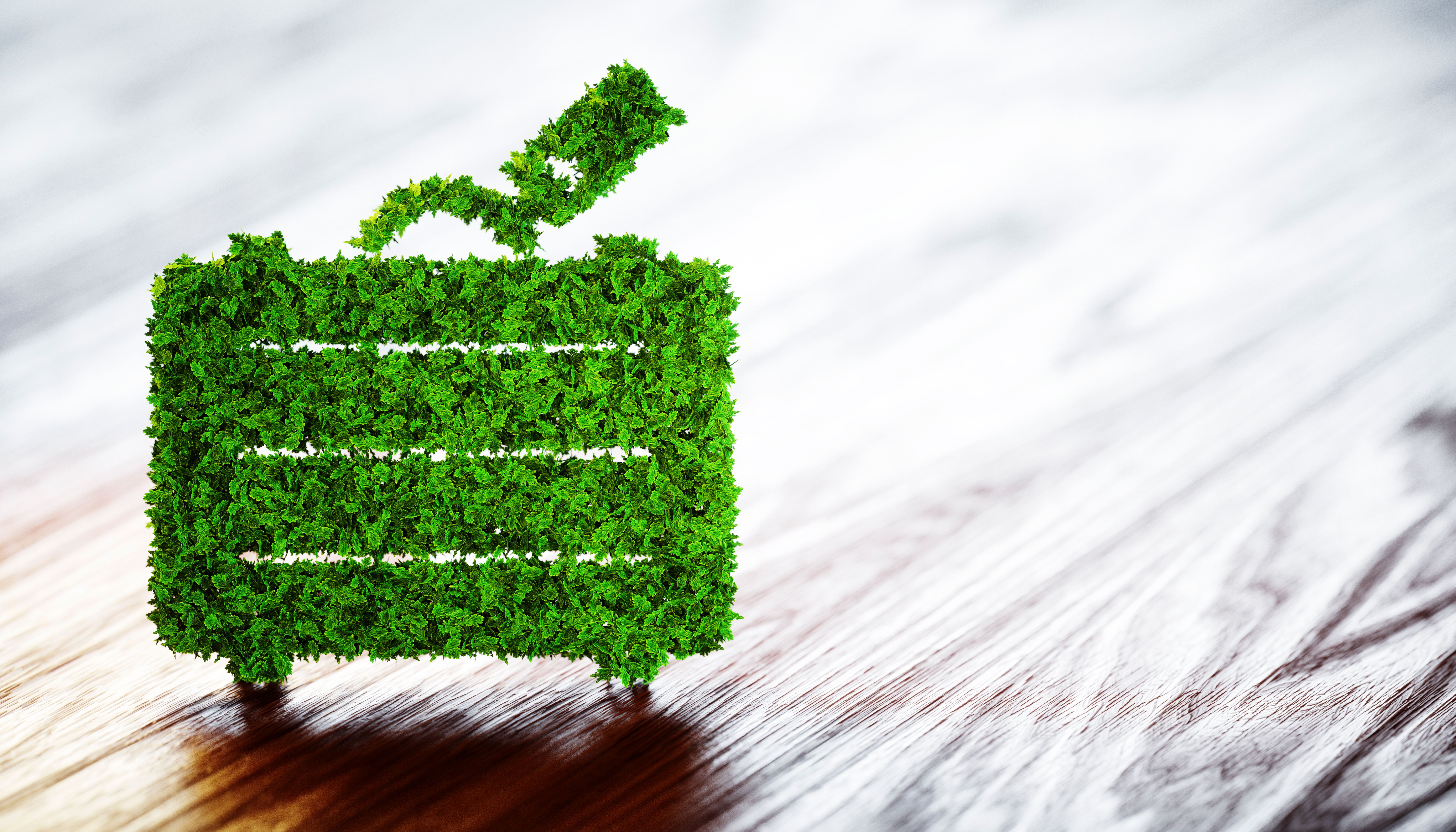 eco-friendly travel
