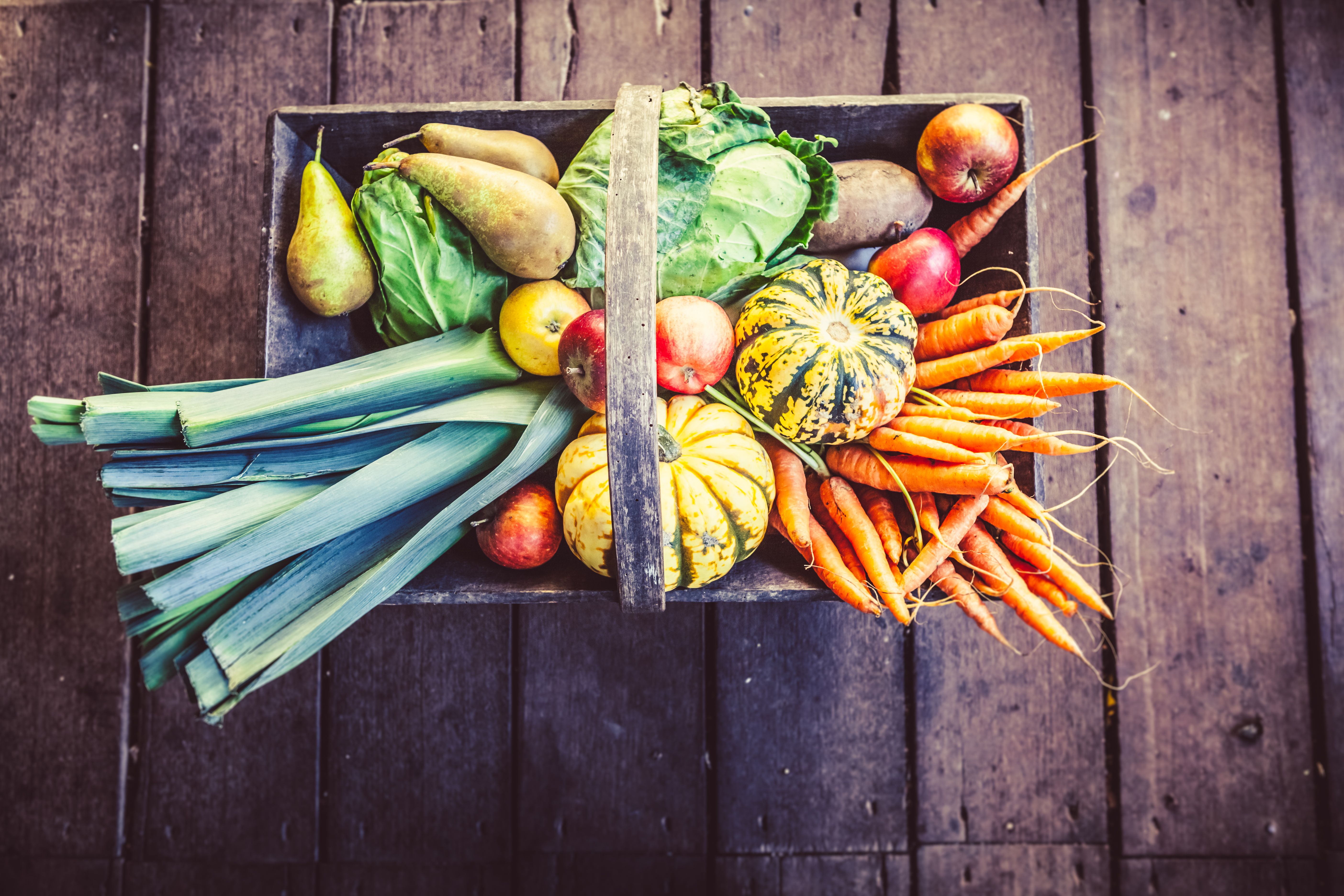 autumn vegetables