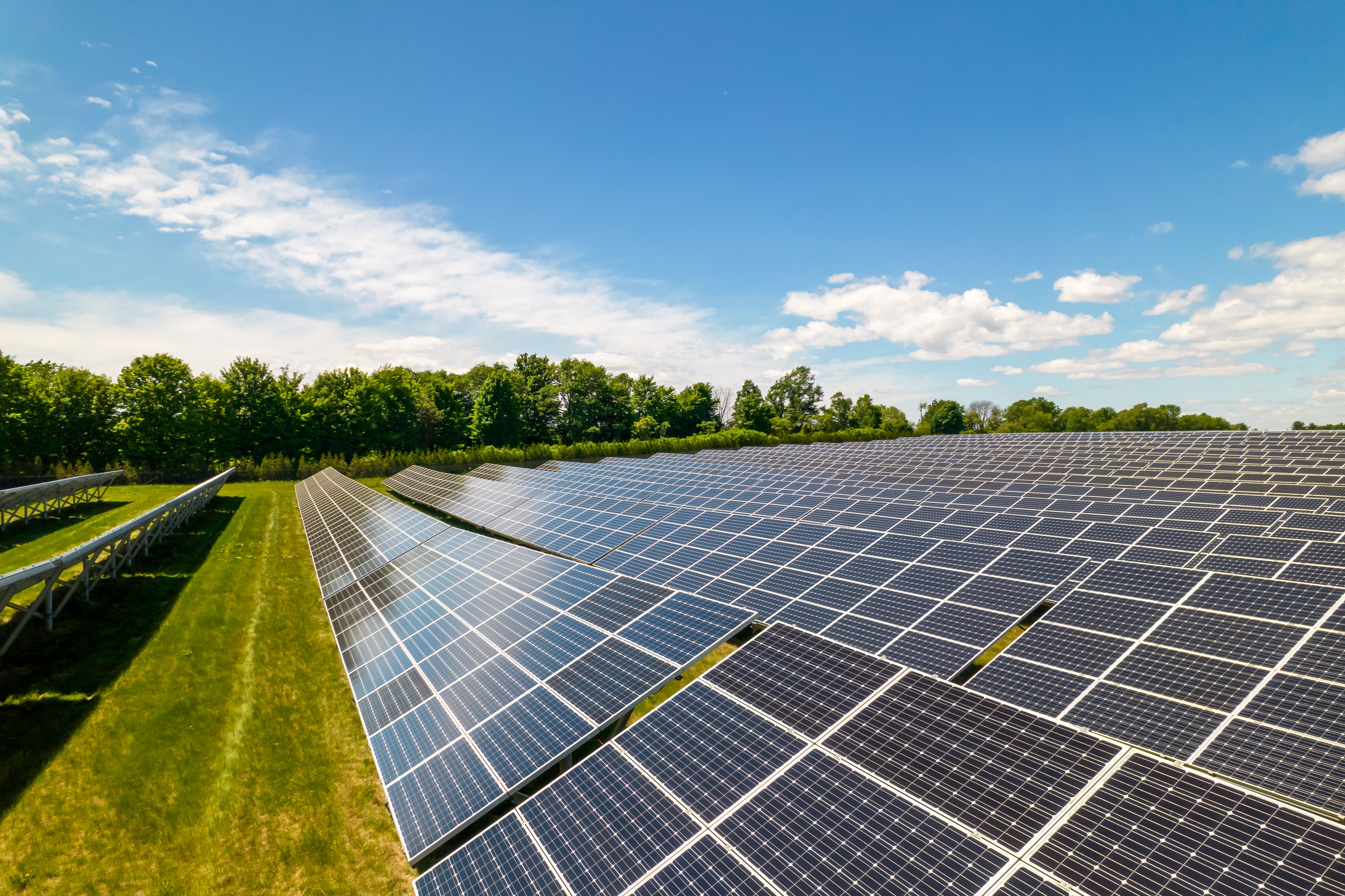 solar panels farm