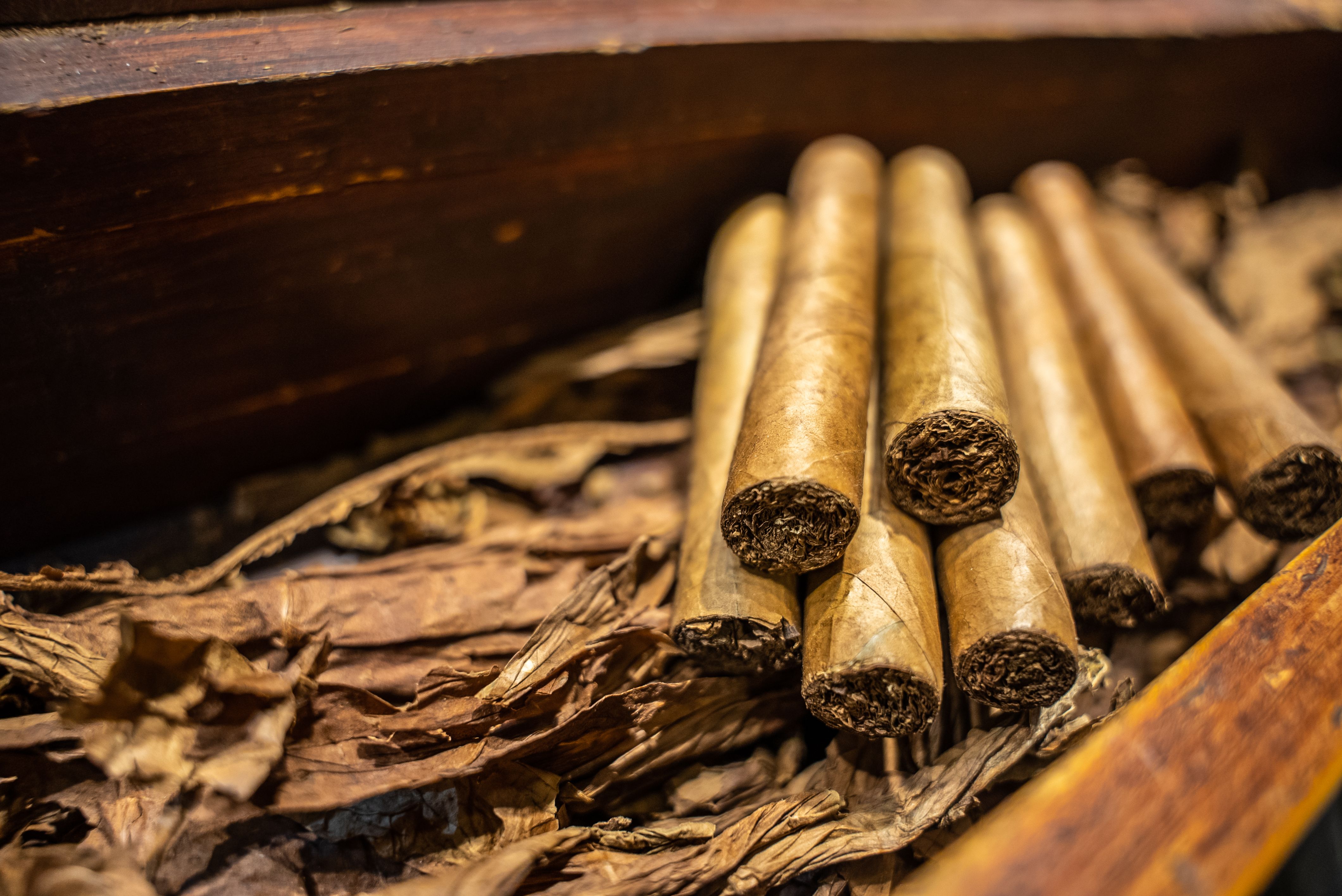 premium tobacco
