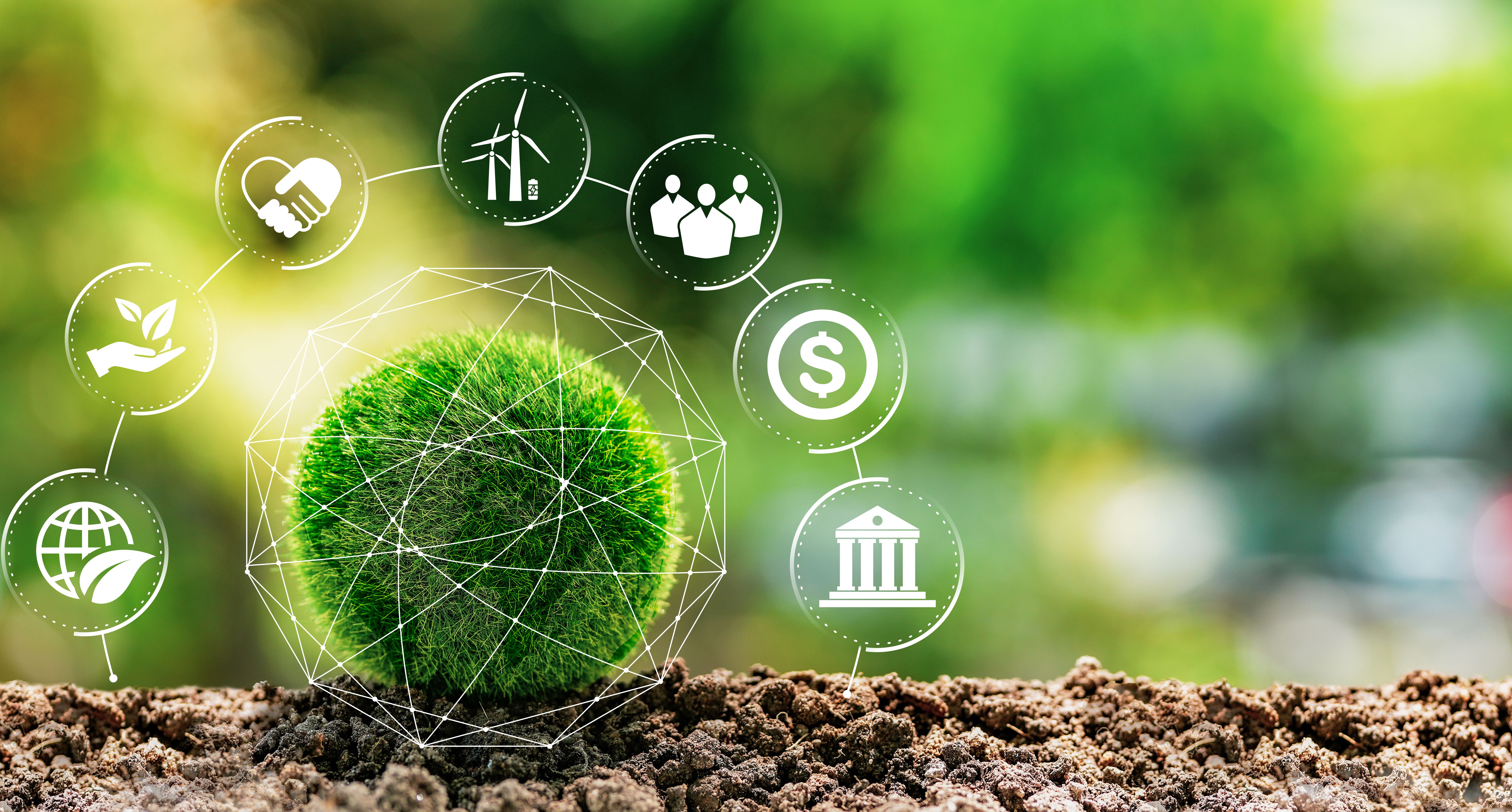 environmental responsibility