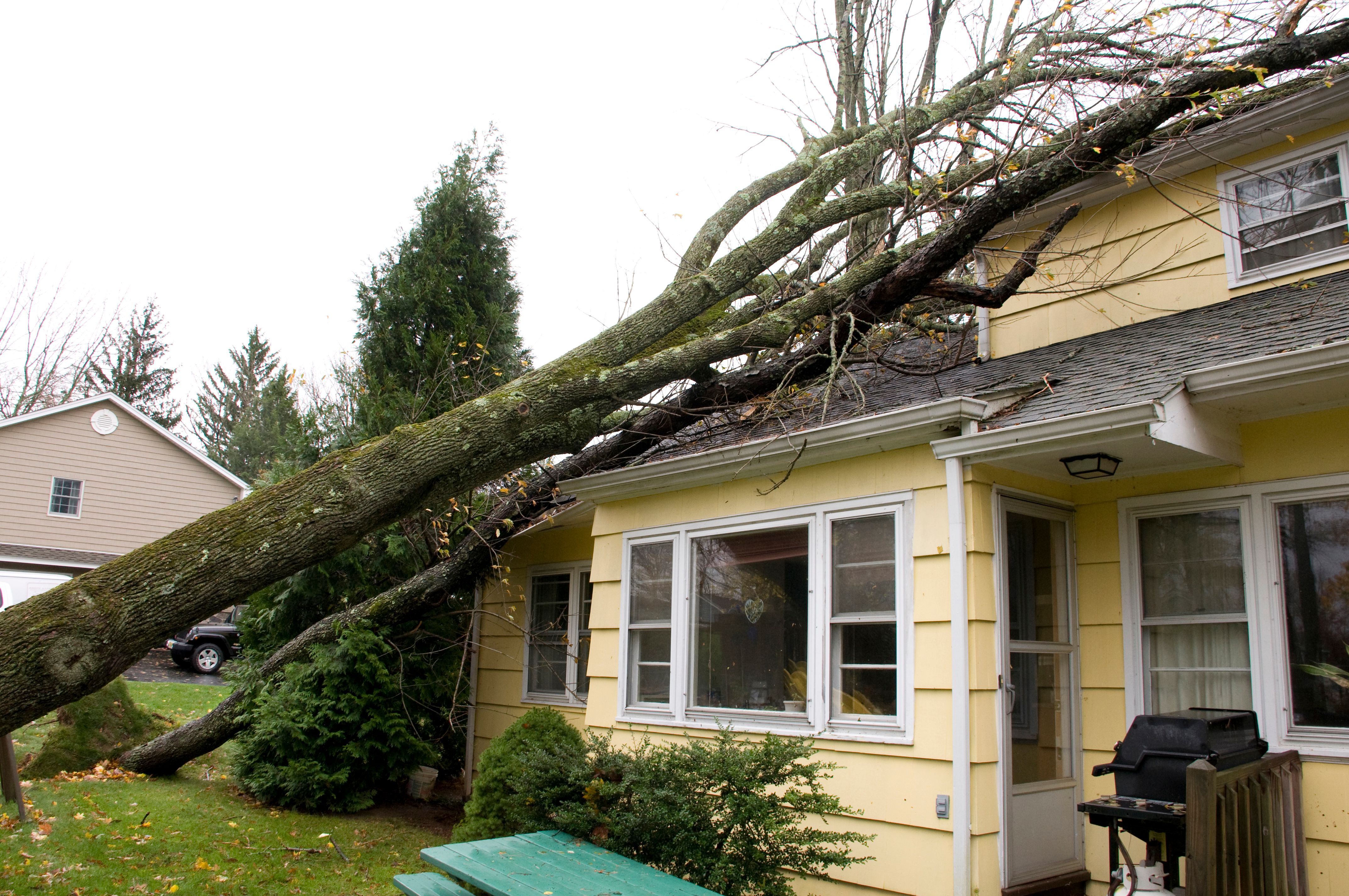 storm damaged roof