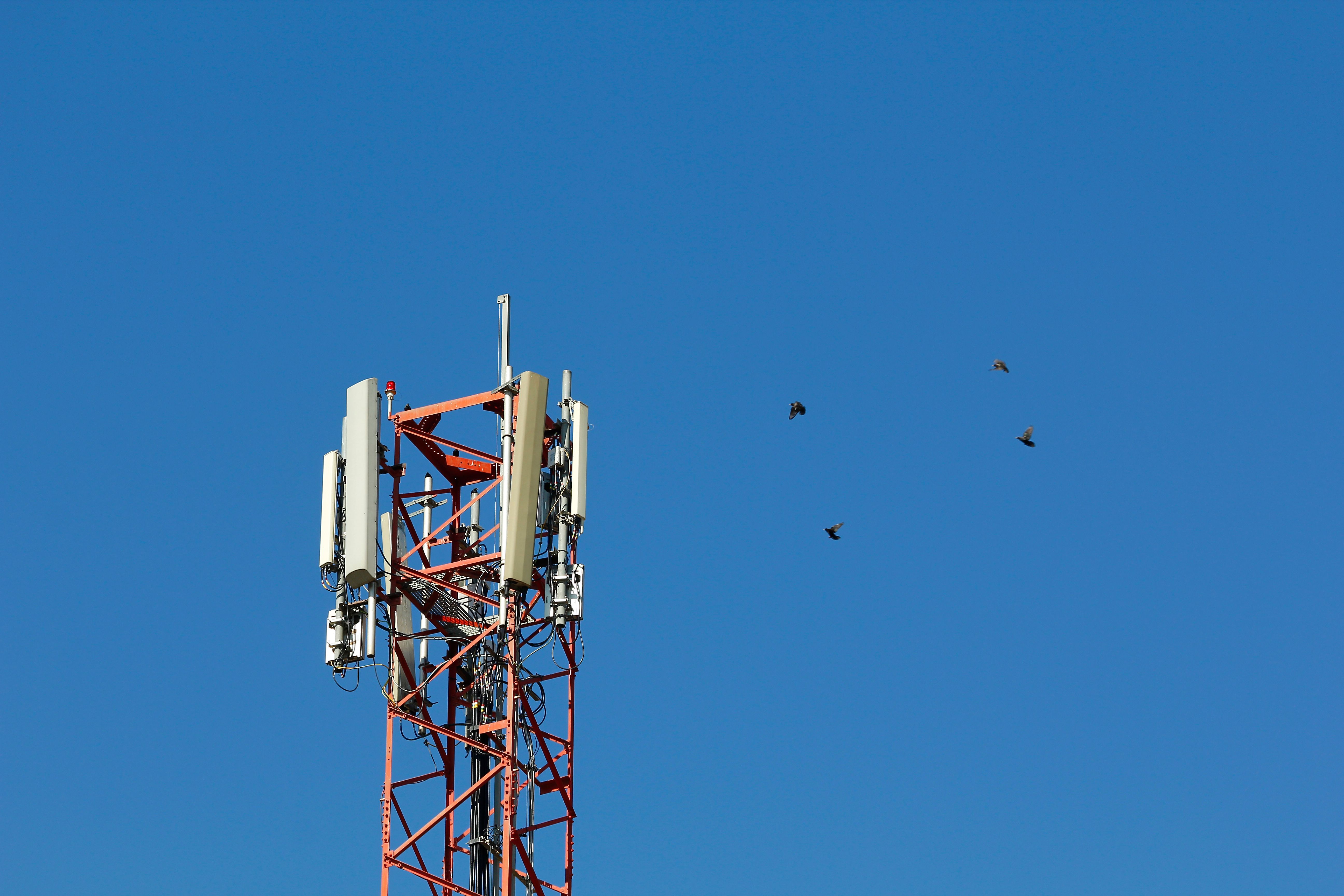 walton county technology