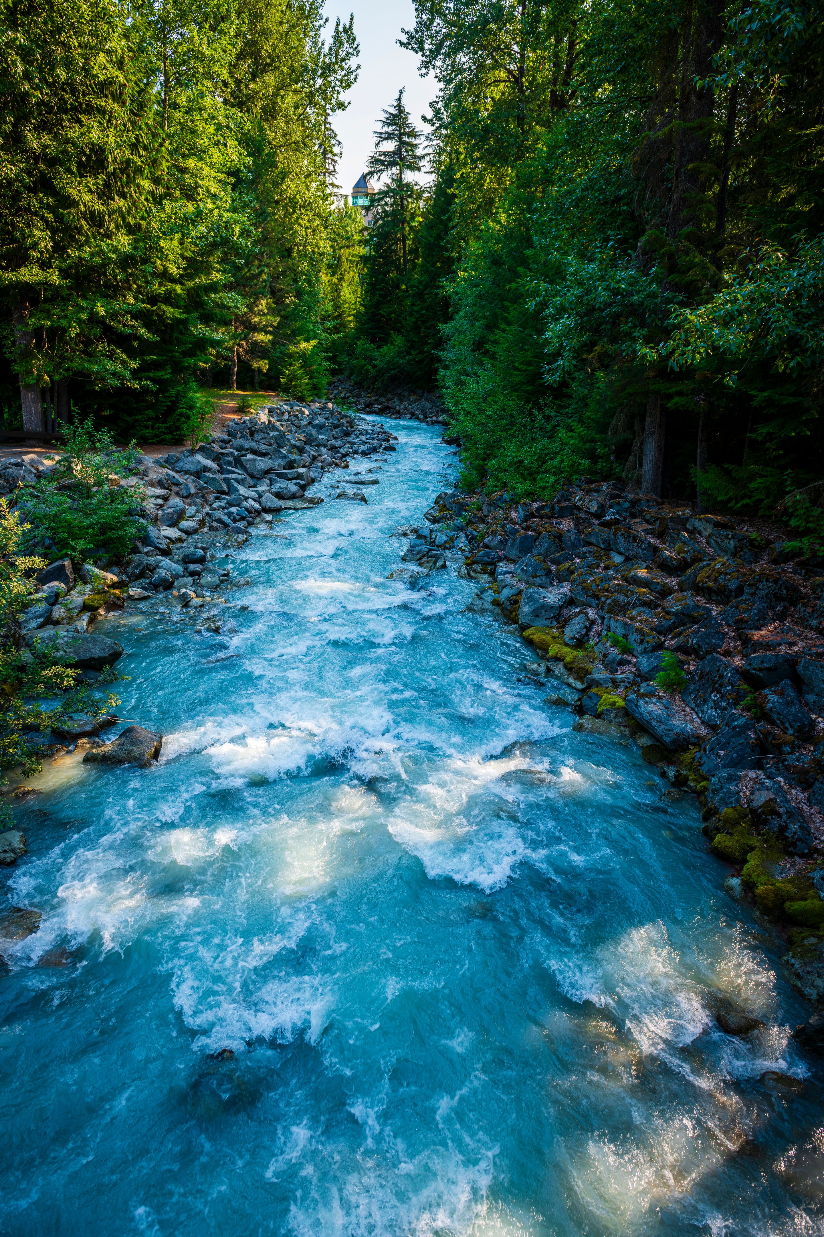 narrow creek at beautiful blackcomb mountains in Whistler in Canada