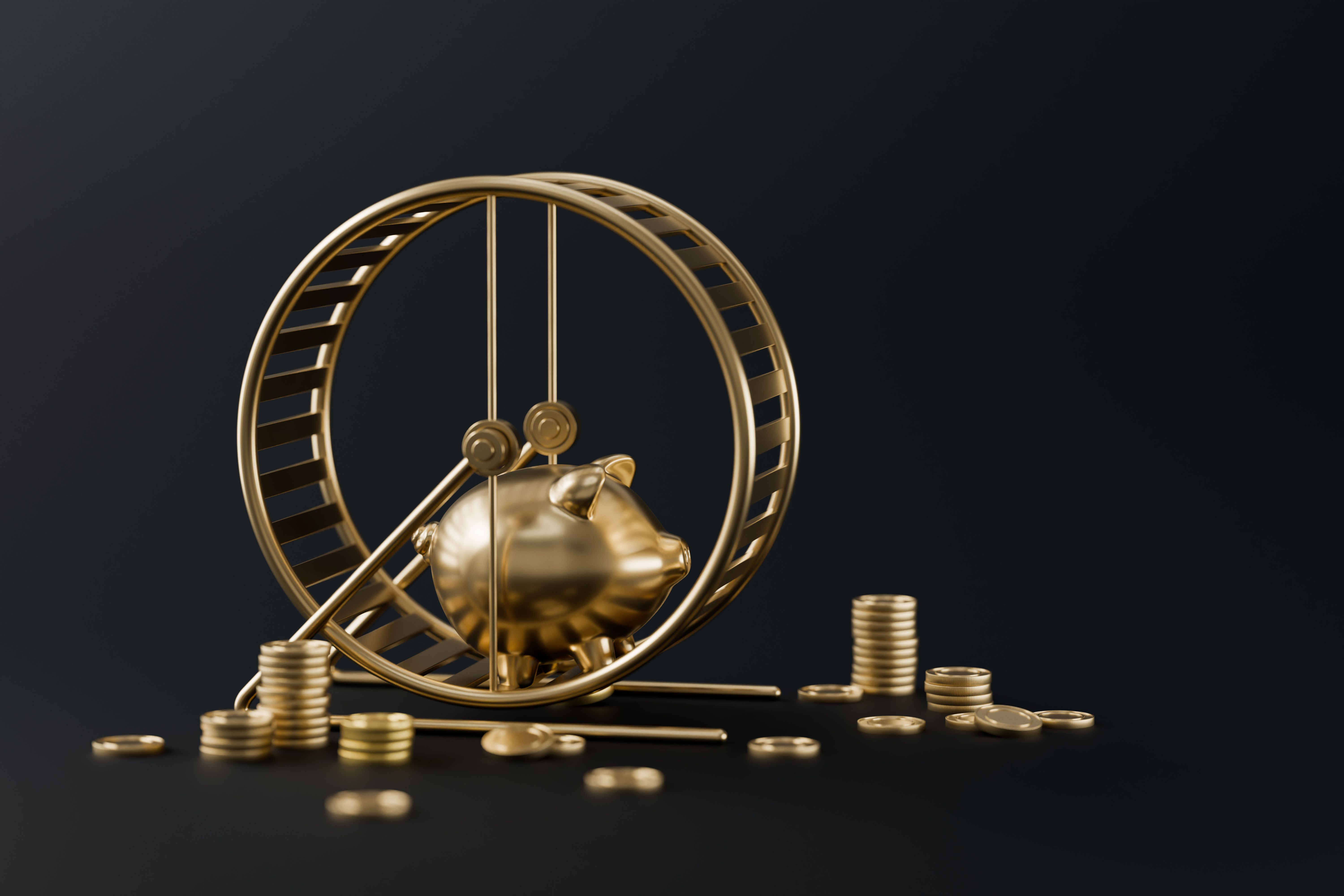 fitness equipment budget