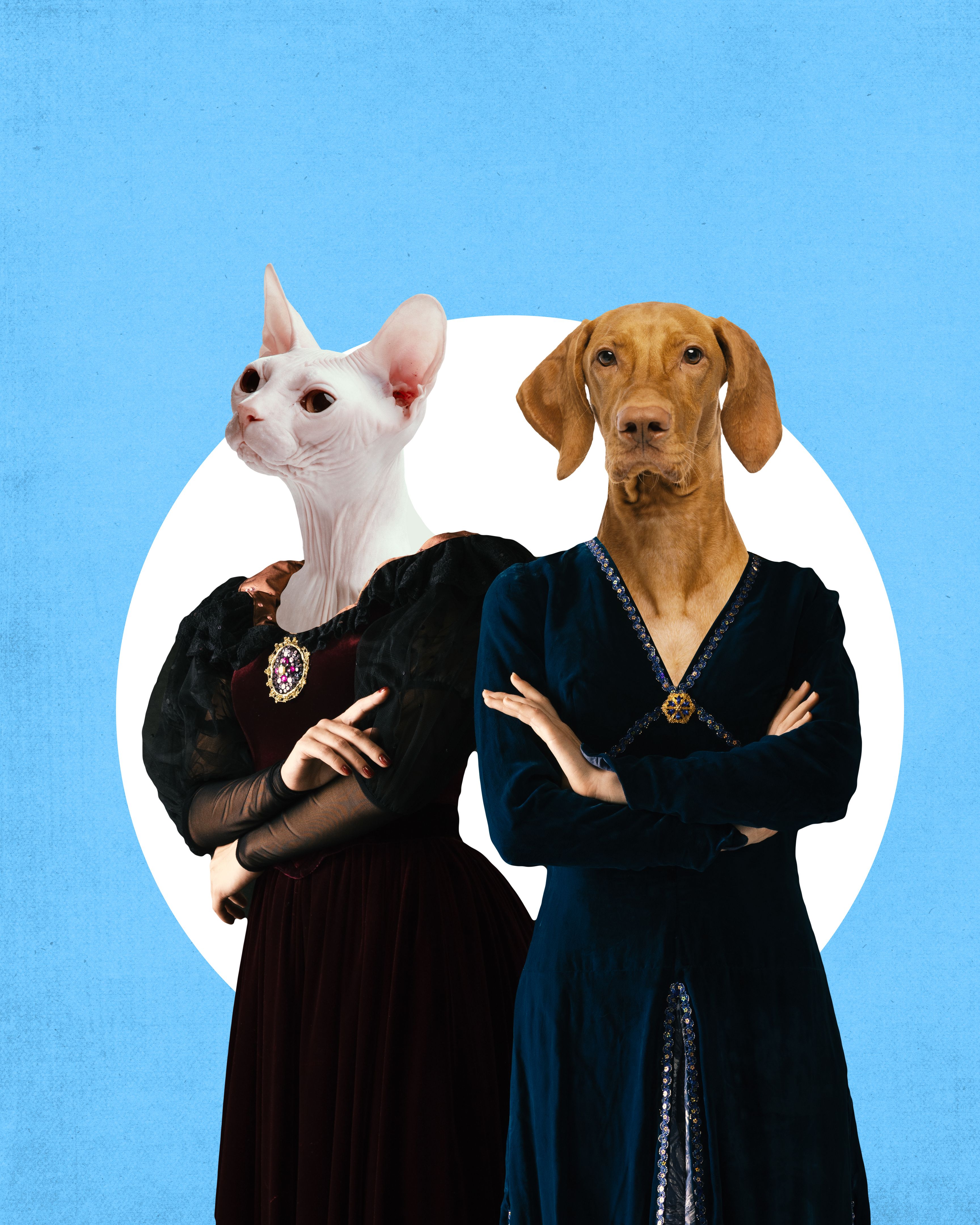 pet portrait painting