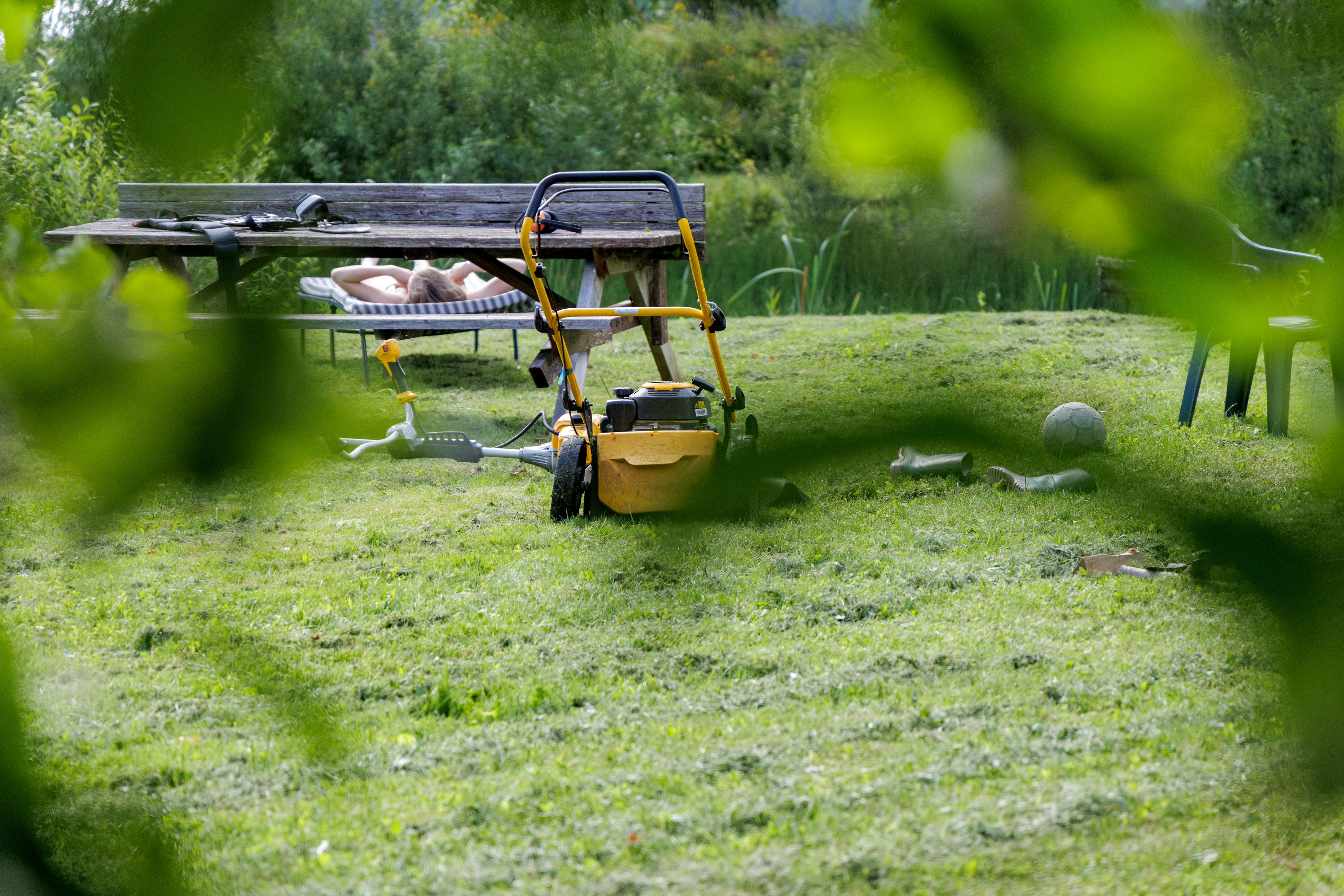 summer property maintenance