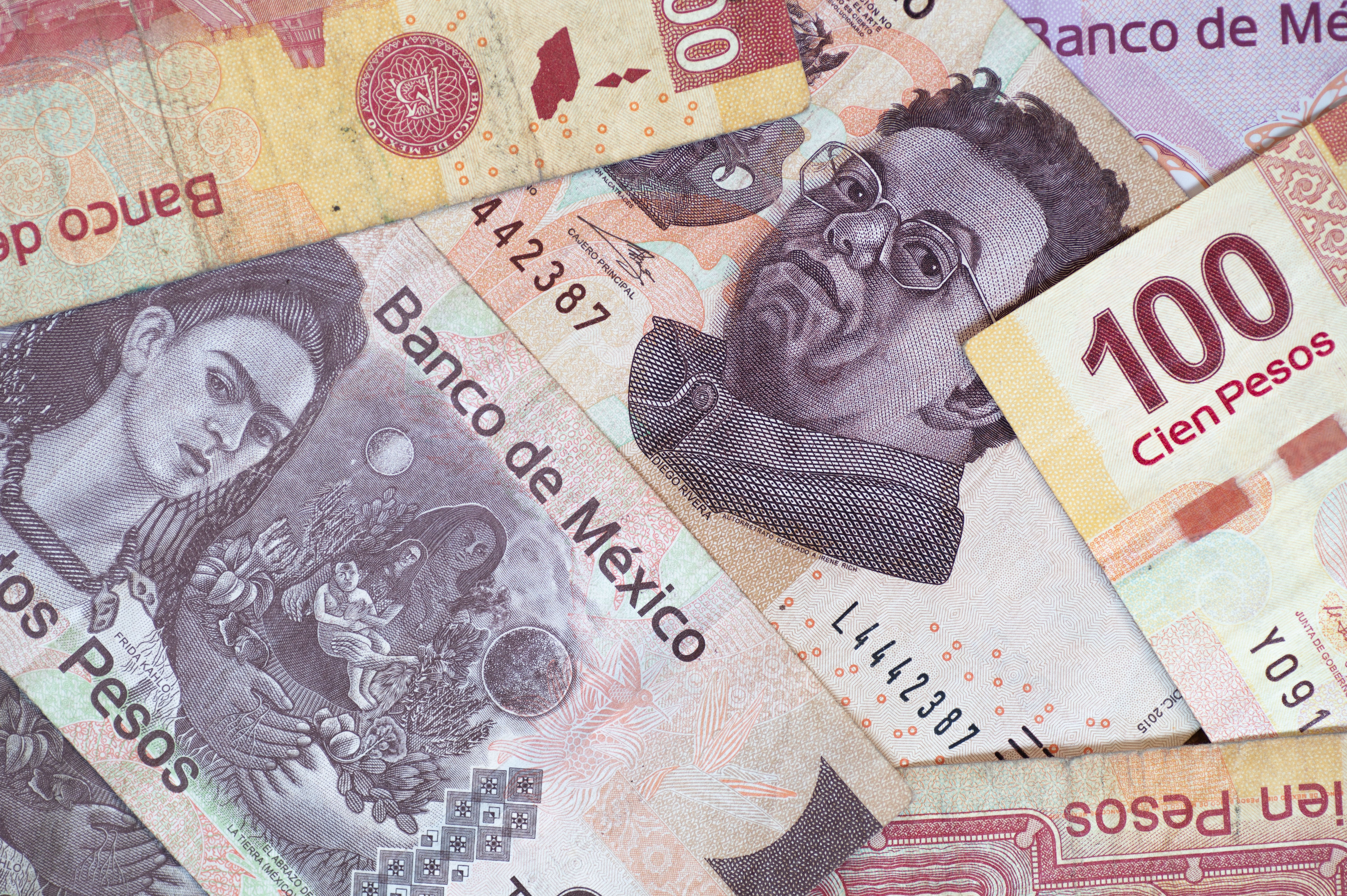 frida kahlo diego rivera frida kahlo diego rivera