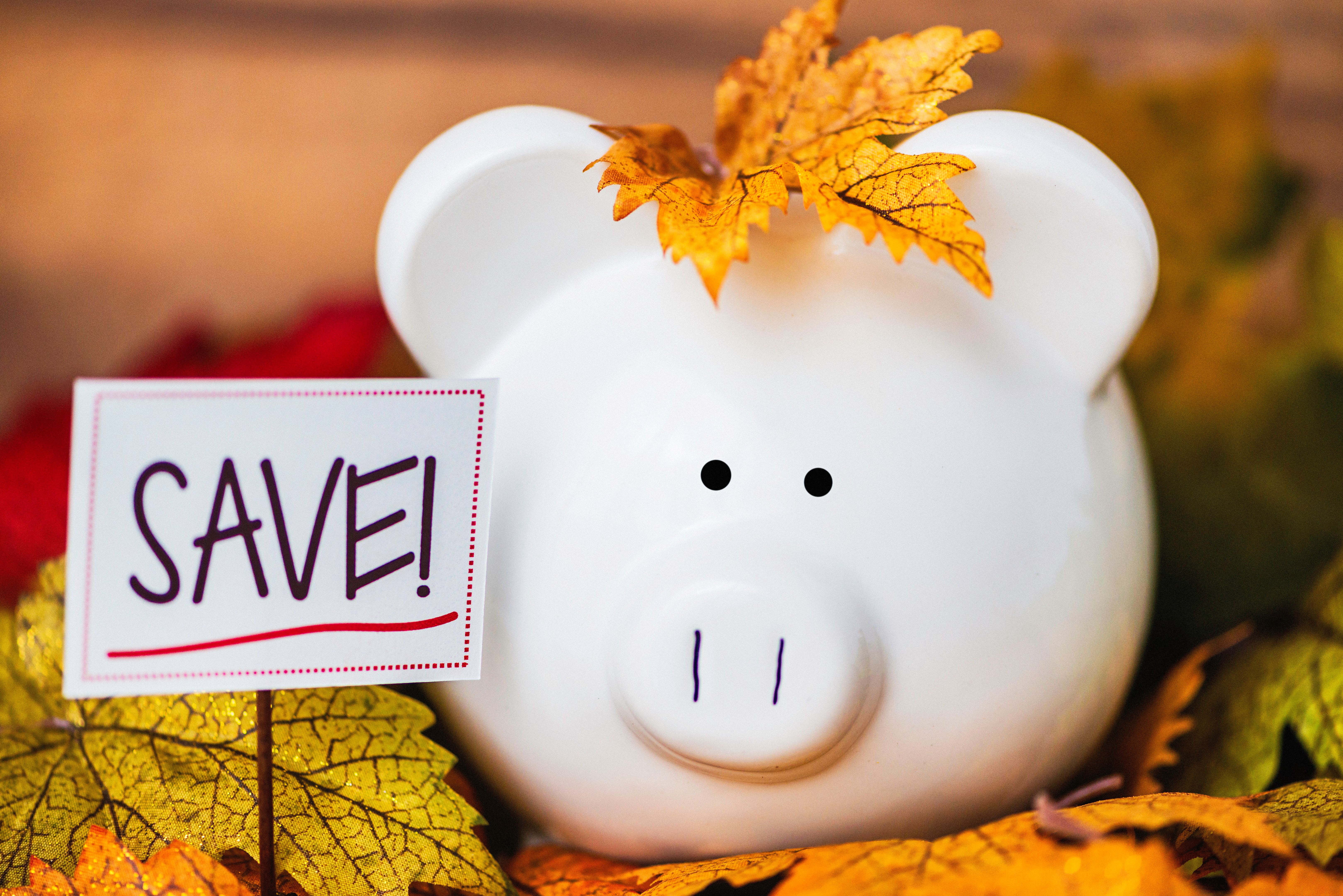 Fall Savings. Piggy bank amongst fall leaves with copyspace