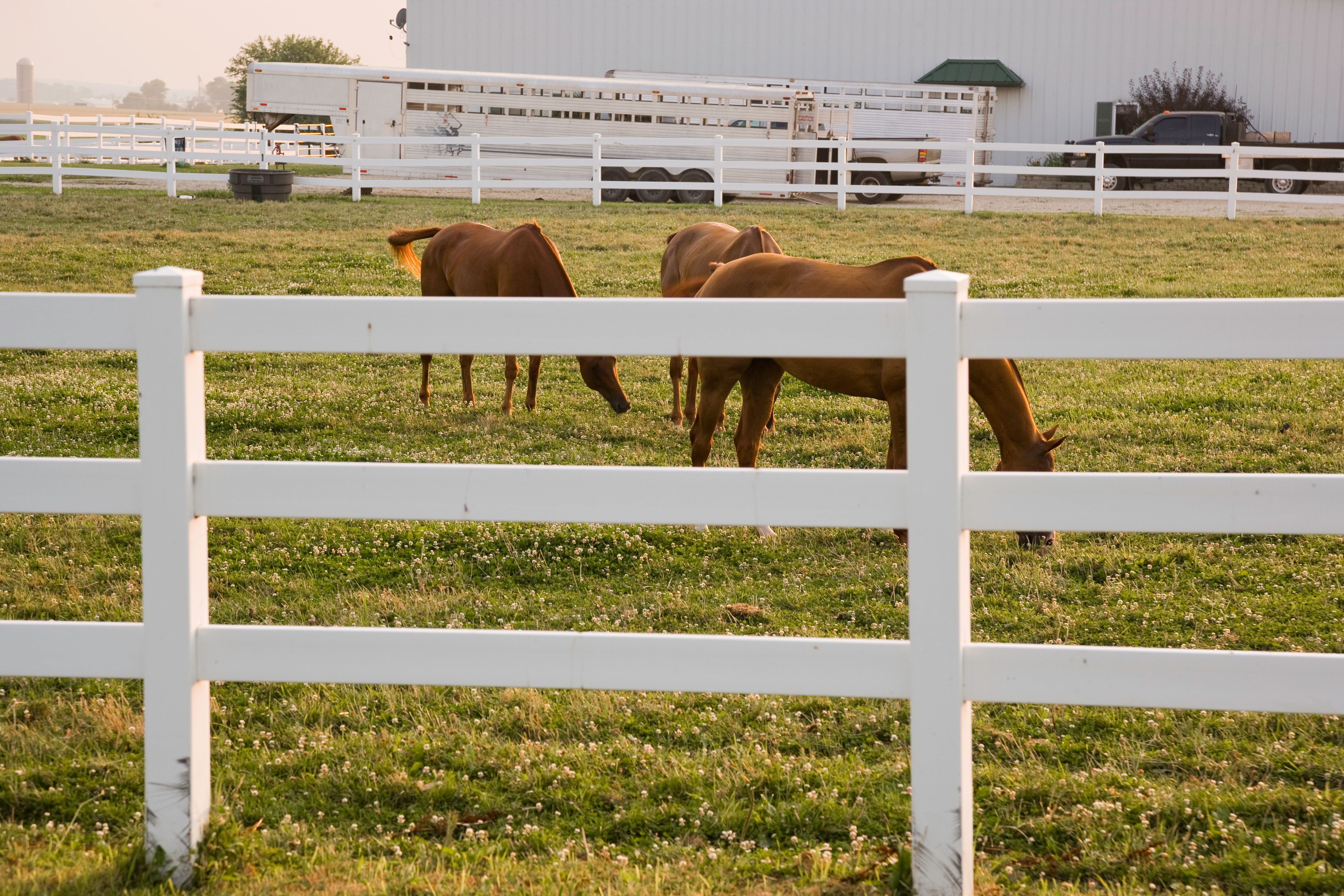 Illinois farm