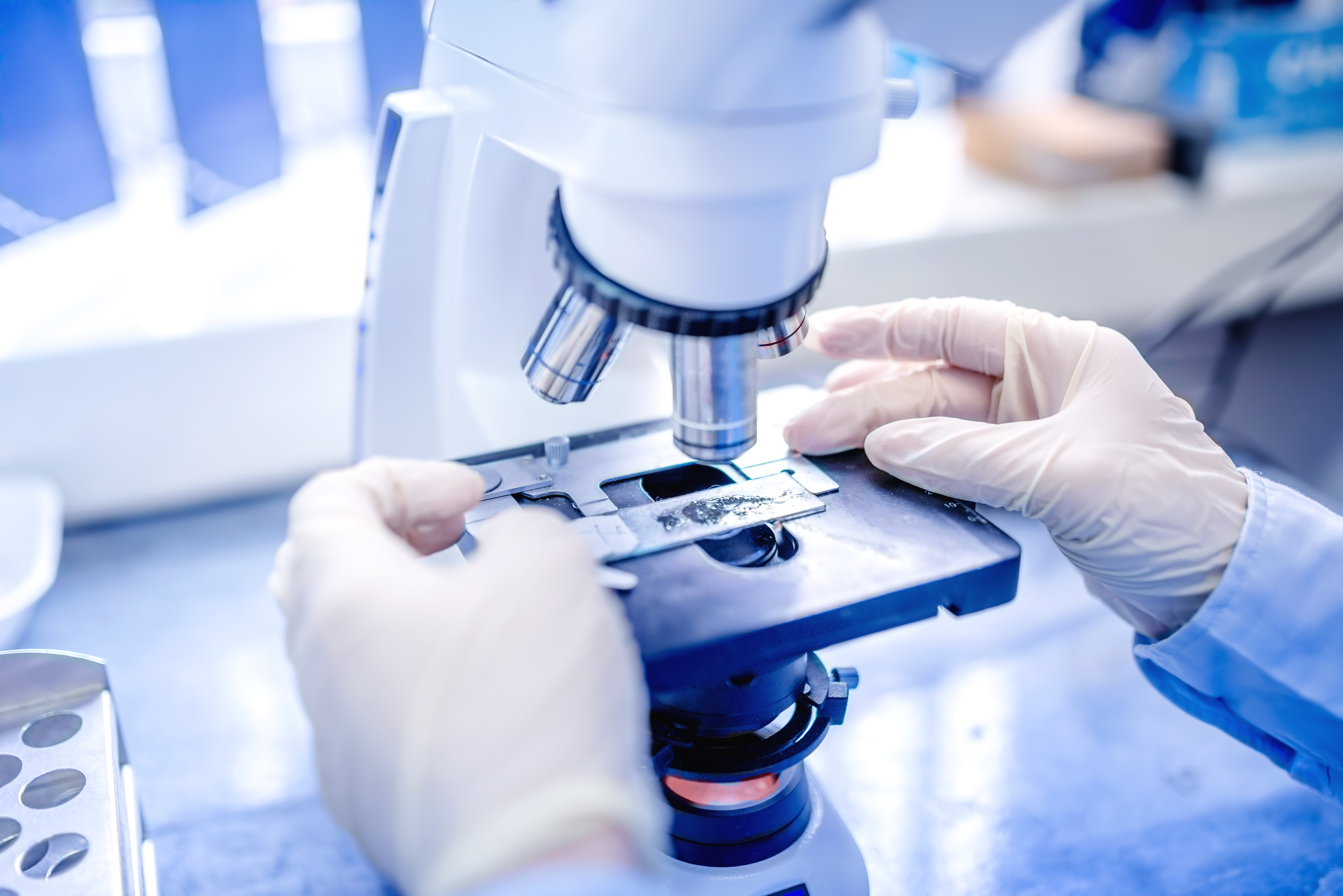 scientist hands with microscope, examining samples and liquid