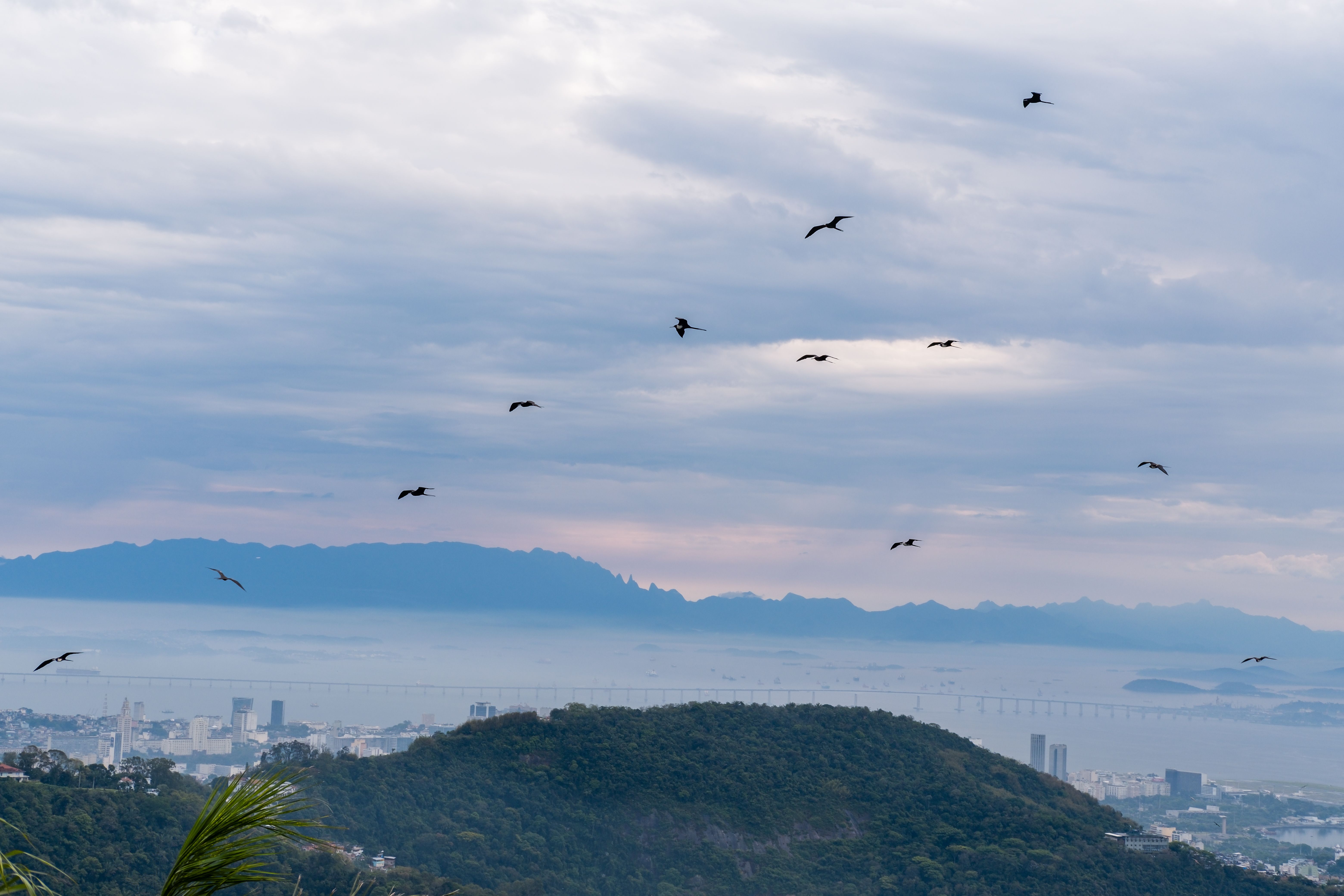 cartório registro imóveis