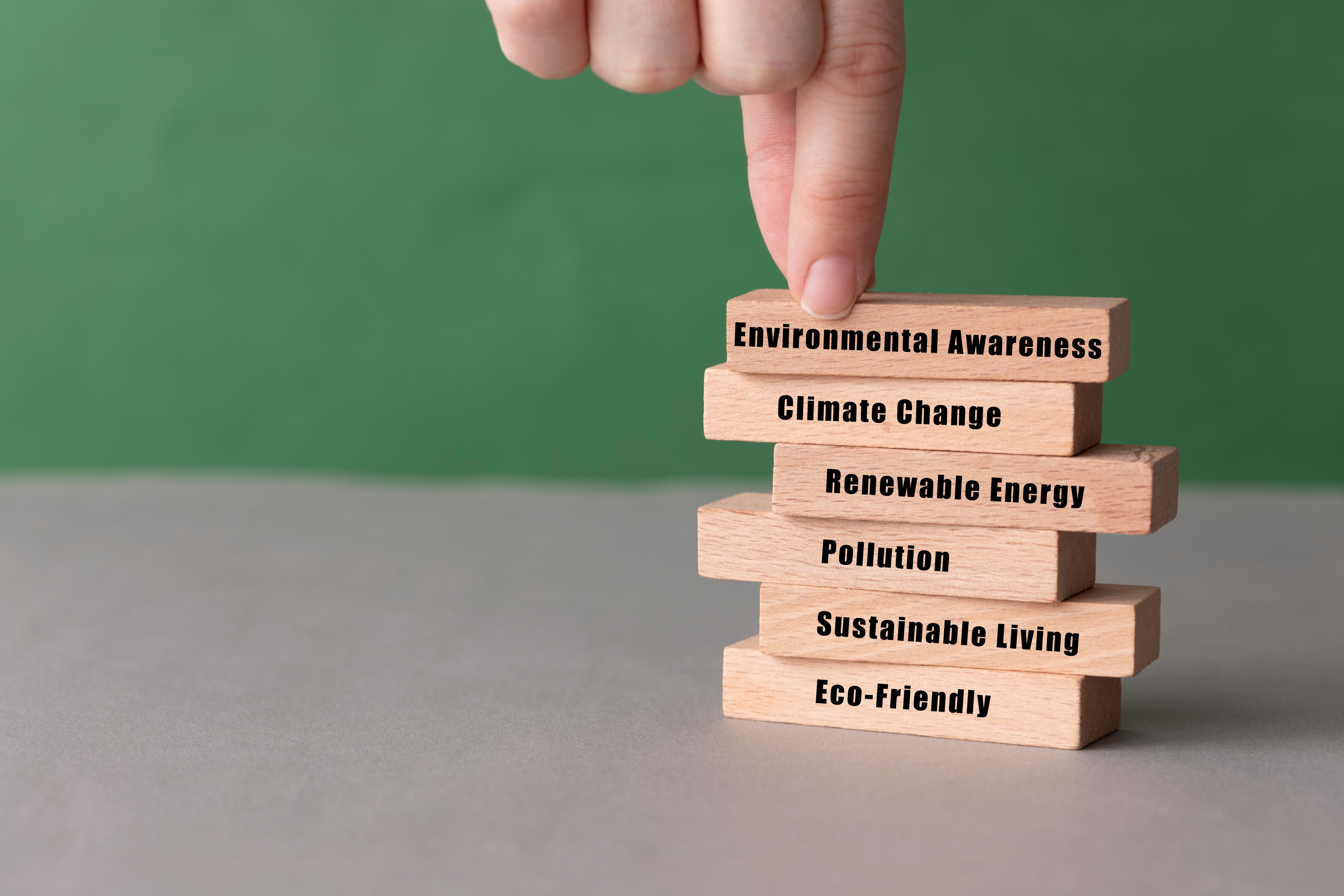 sustainable policy education