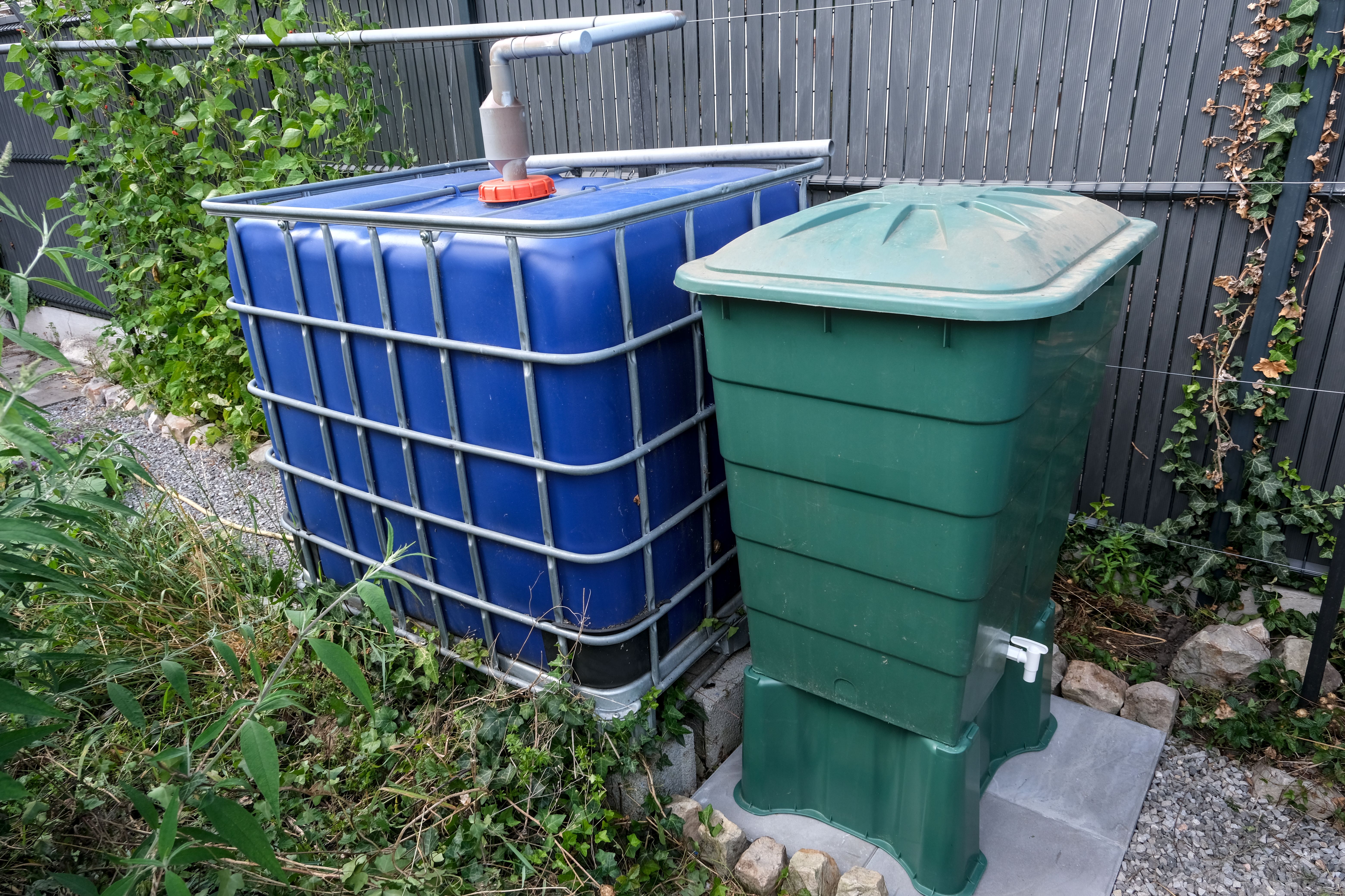 rainwater collection