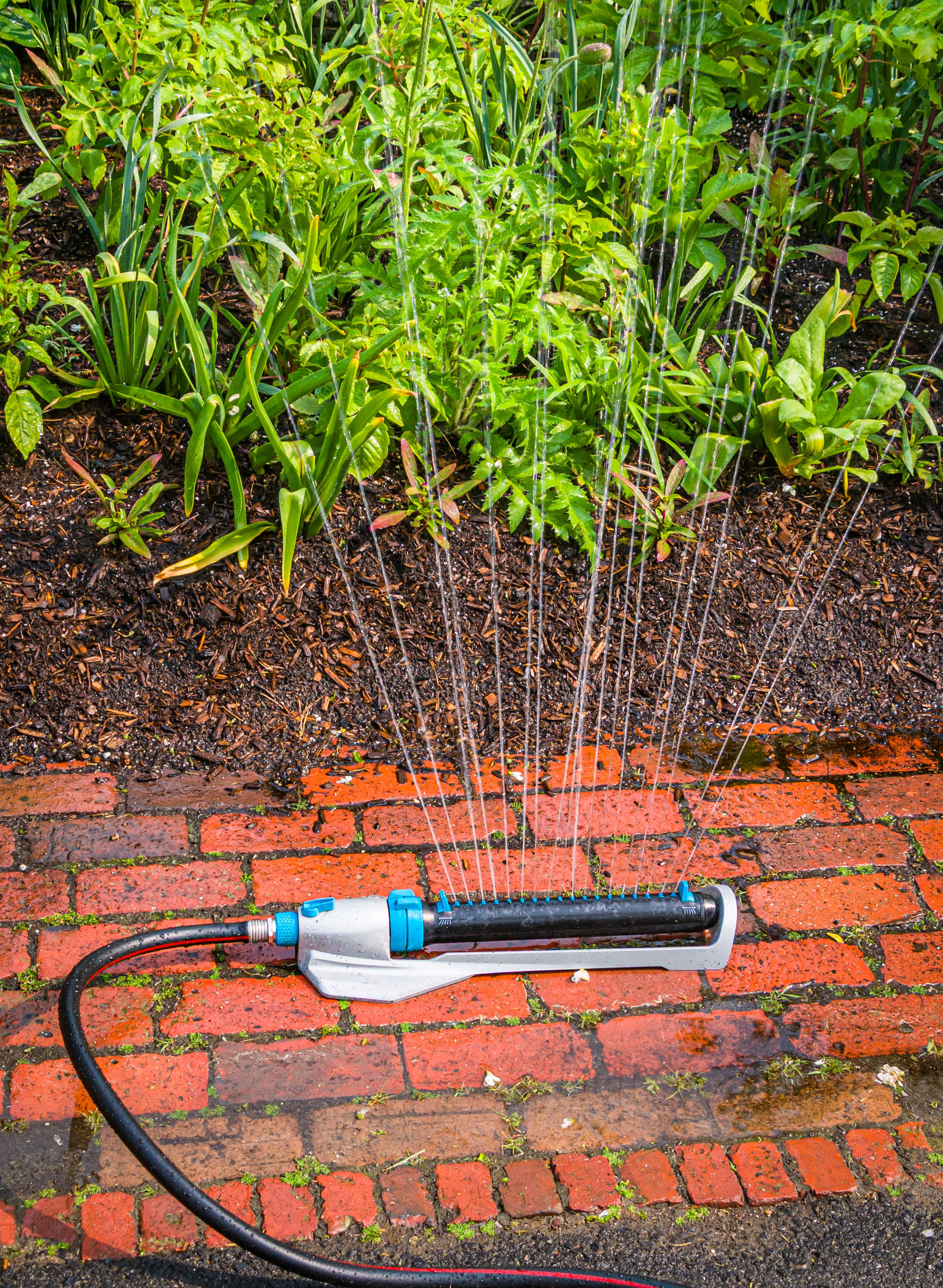 garden irrigation