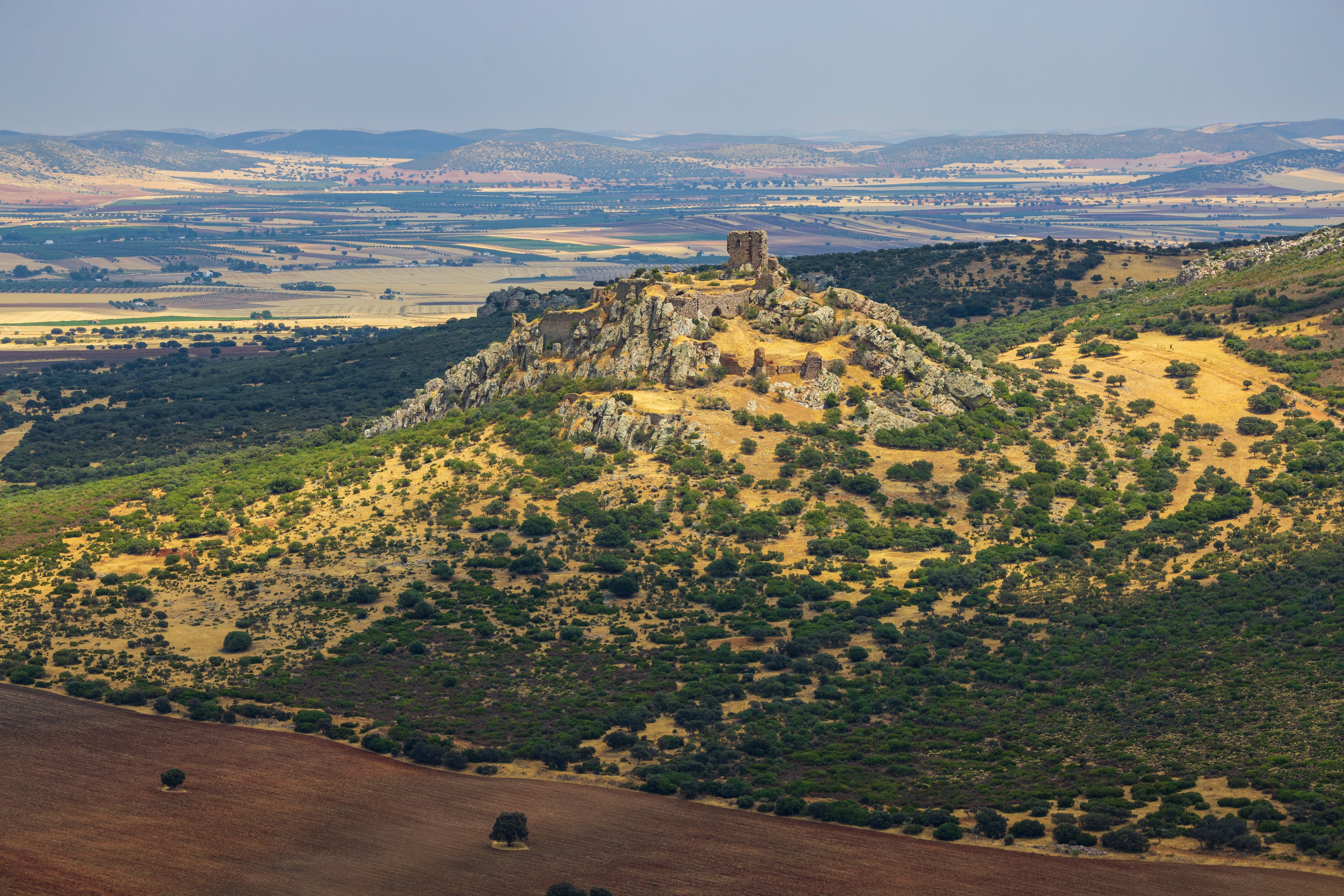 ciudad nueva