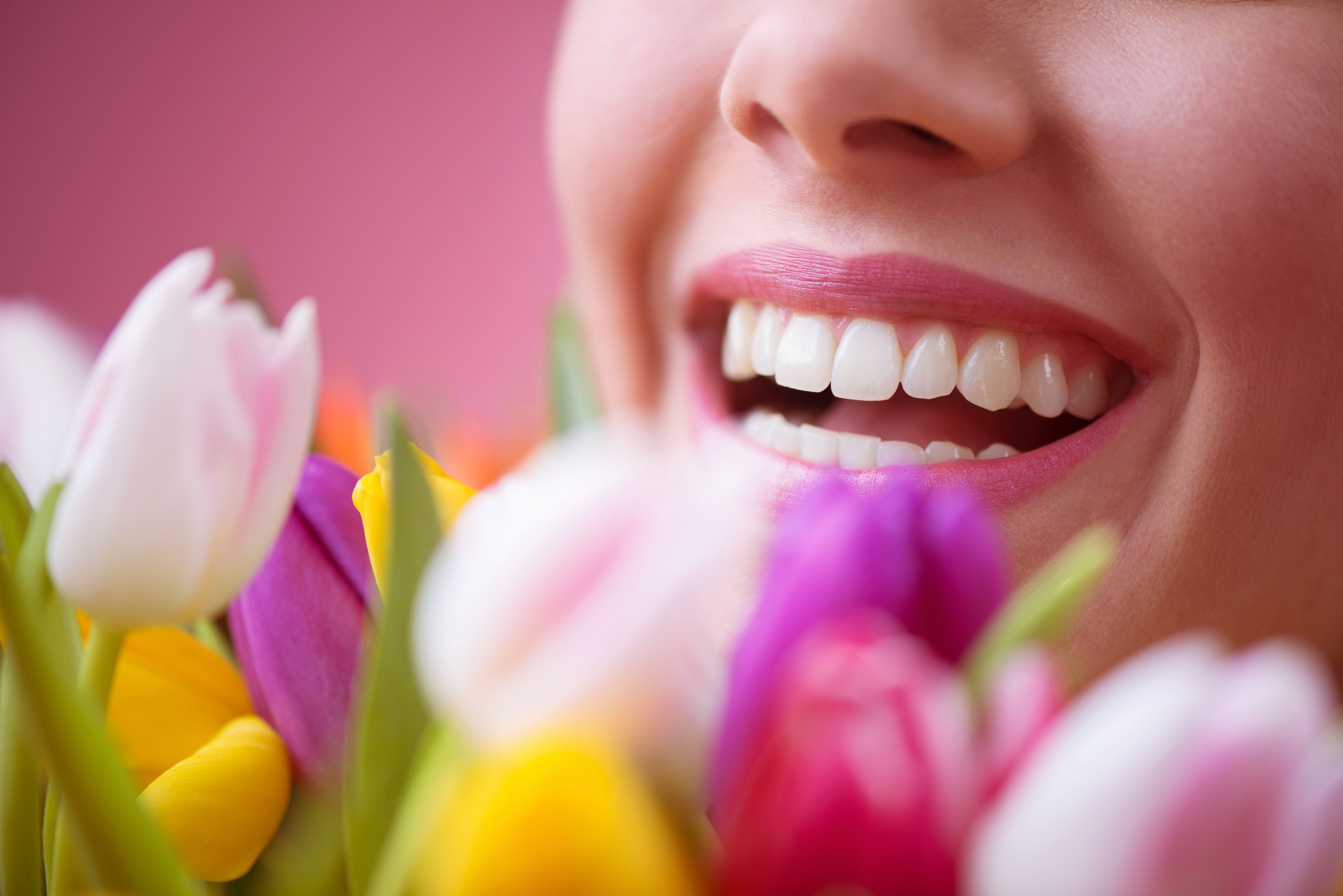 spring dental