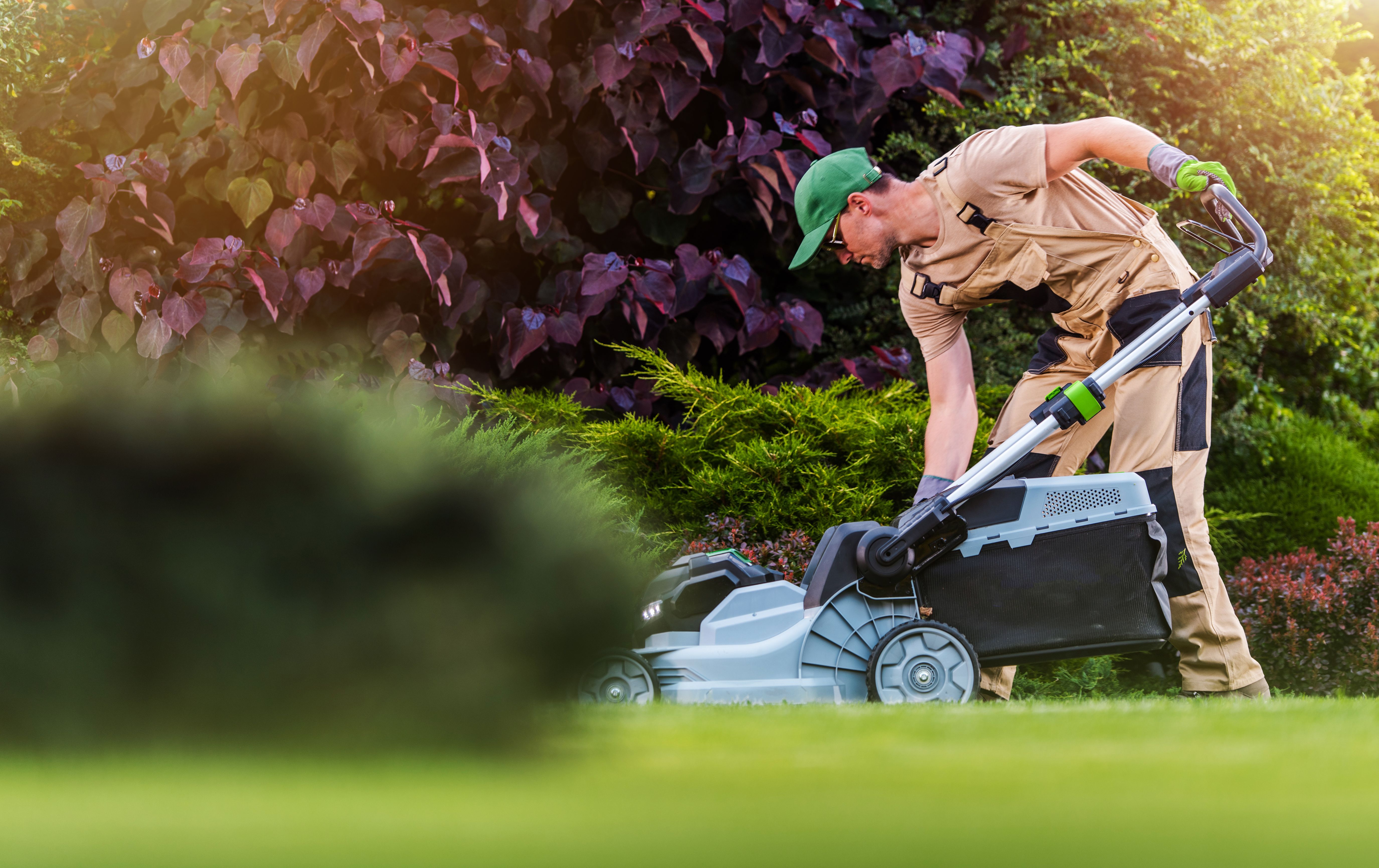 lawn care expert tips