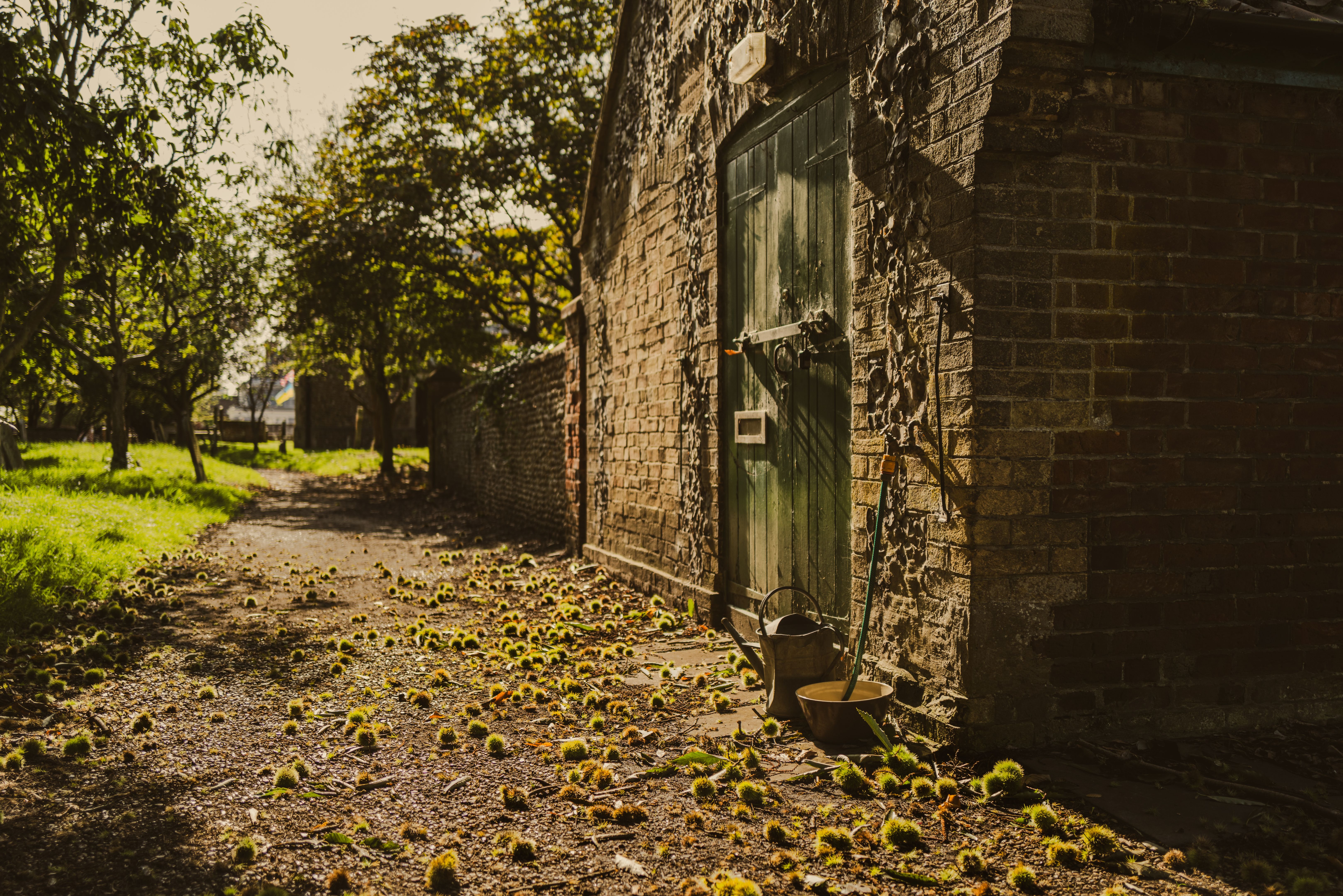 chestnut hill street