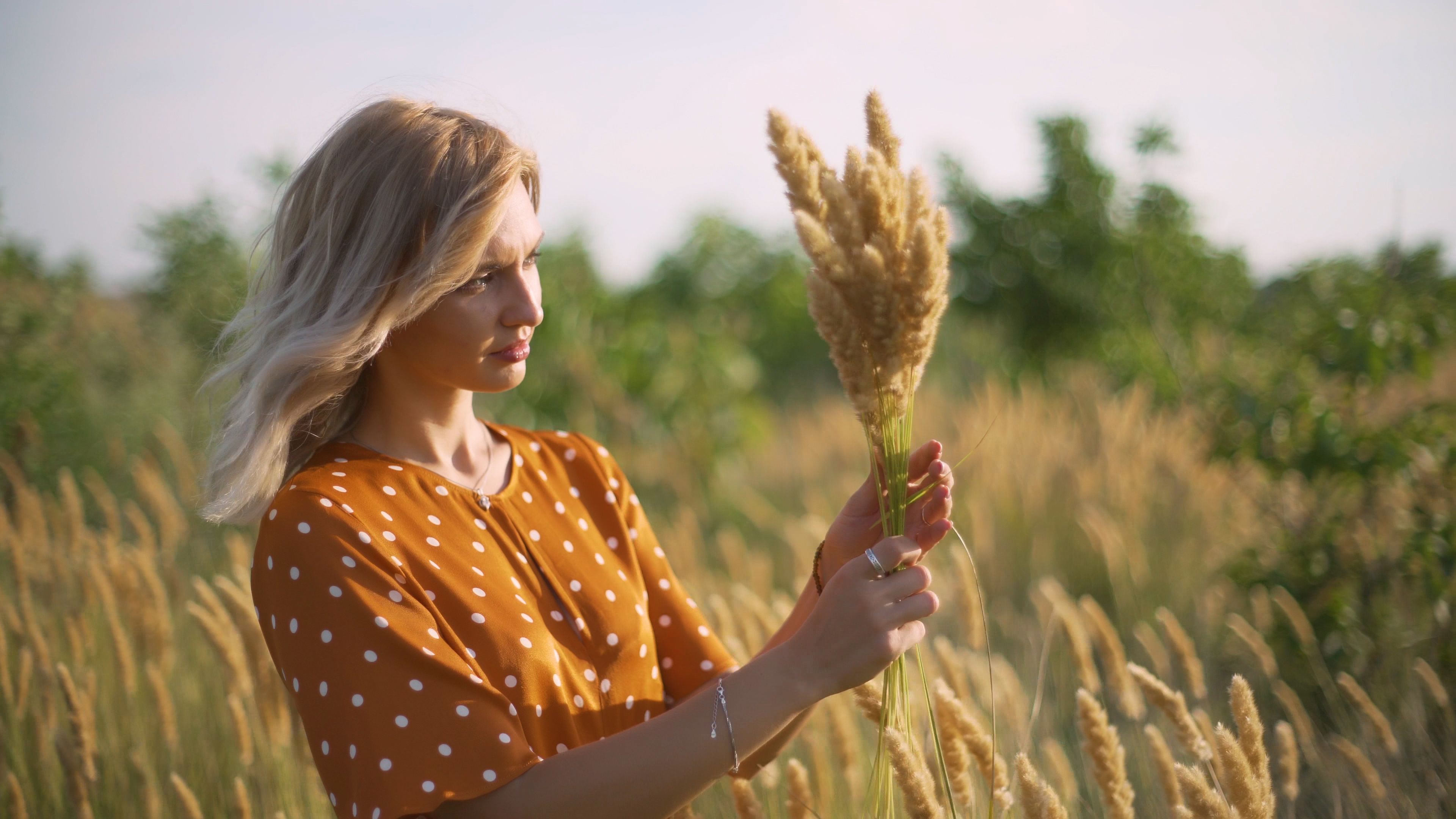 Beautiful young woman walks in the field collects a bouquet of flowers and spikelets. Portrait of attractive female on grass at sunset or sunrise