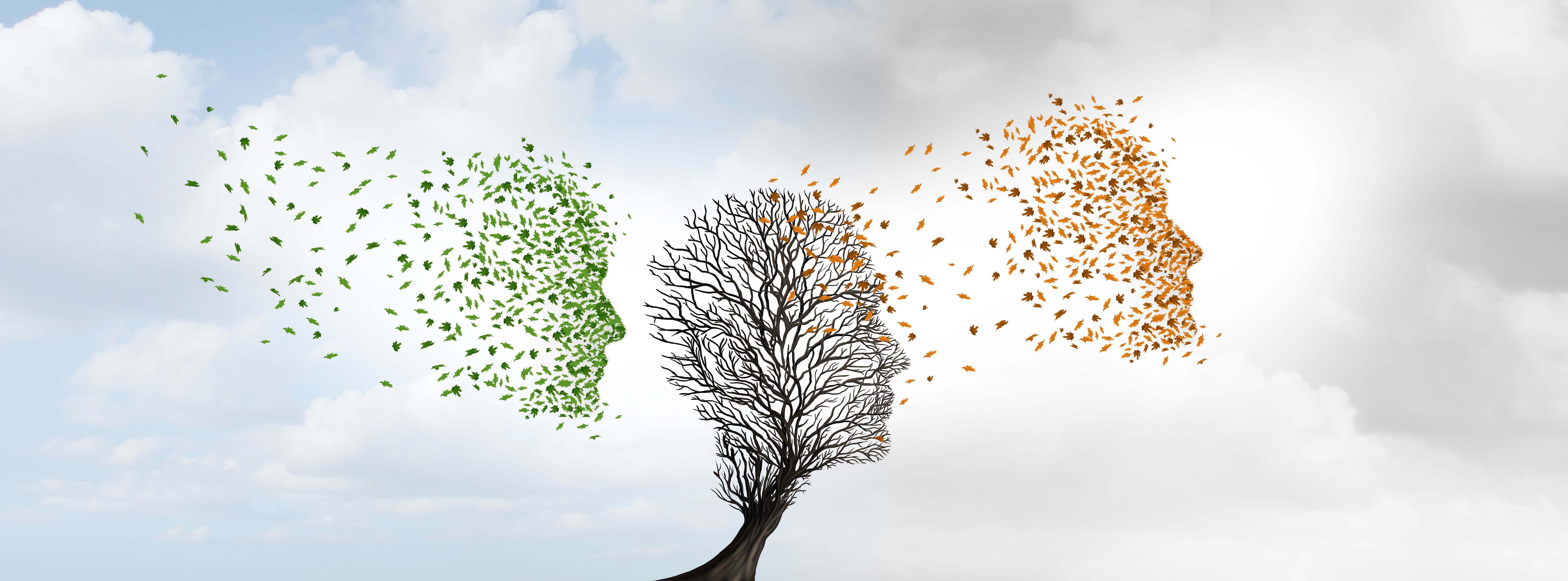 Self Renewal and Rejuvenation