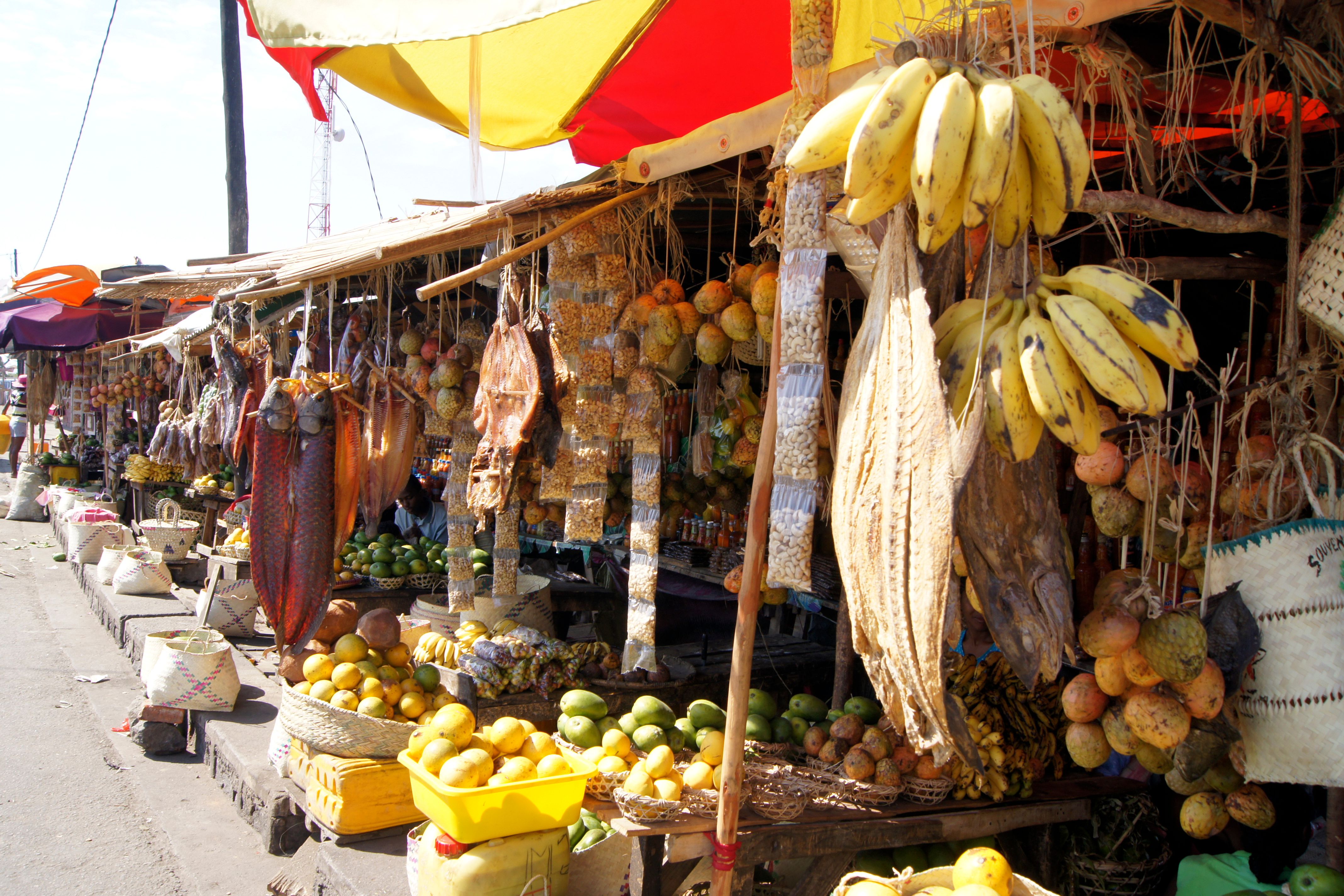 madagascar market