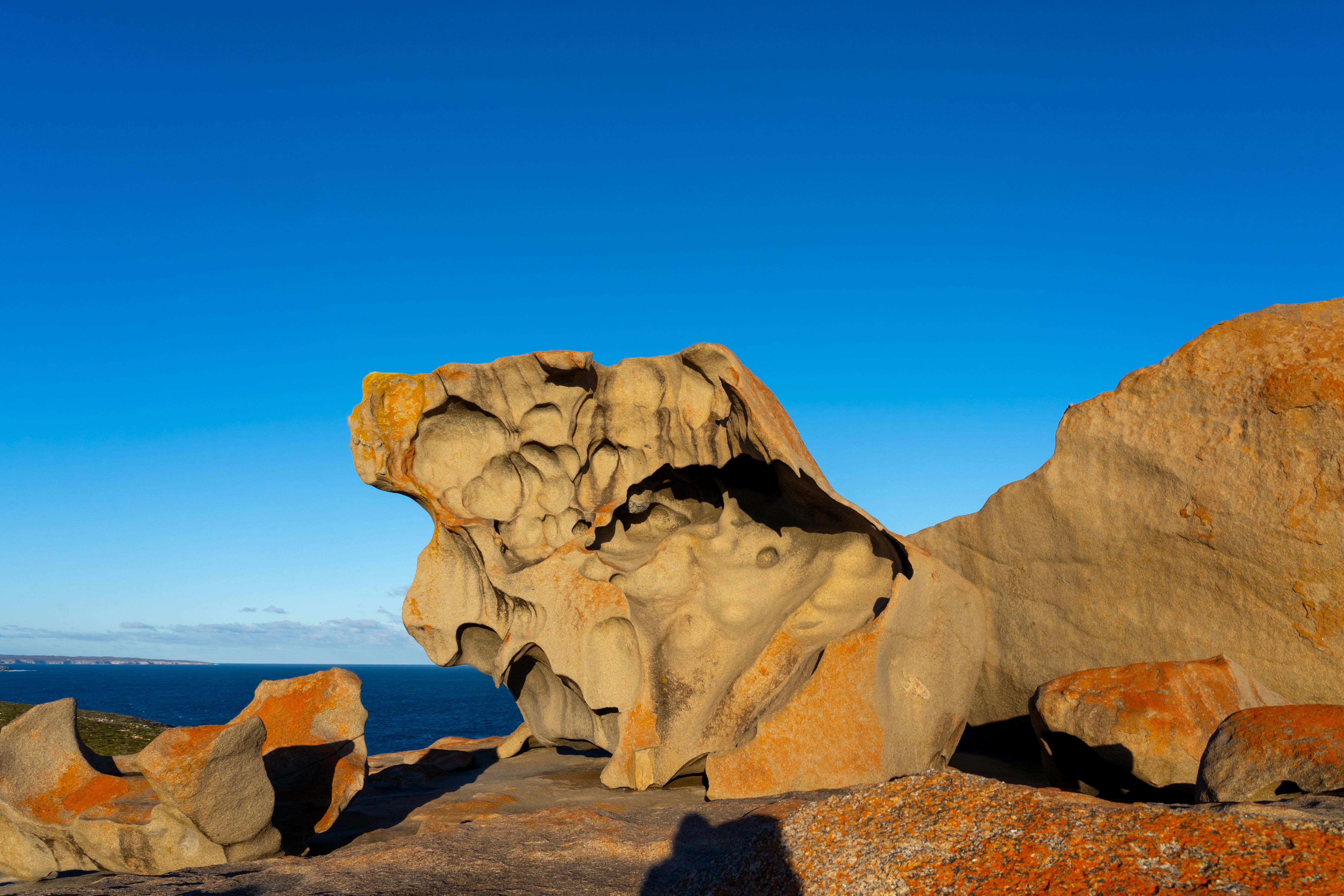 kangaroo island