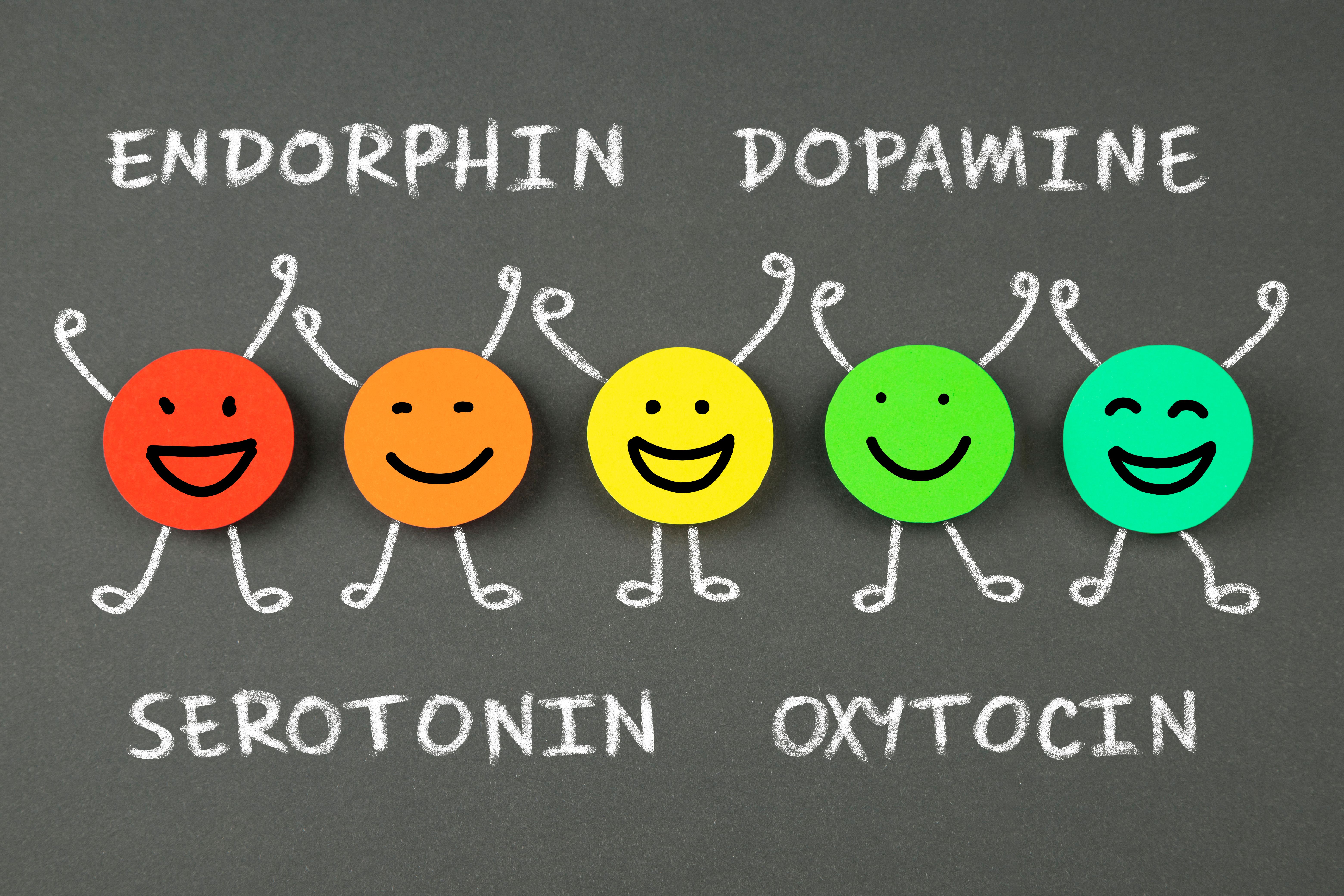 Endorphin,Serotonin,Dopamine, Oxytocin