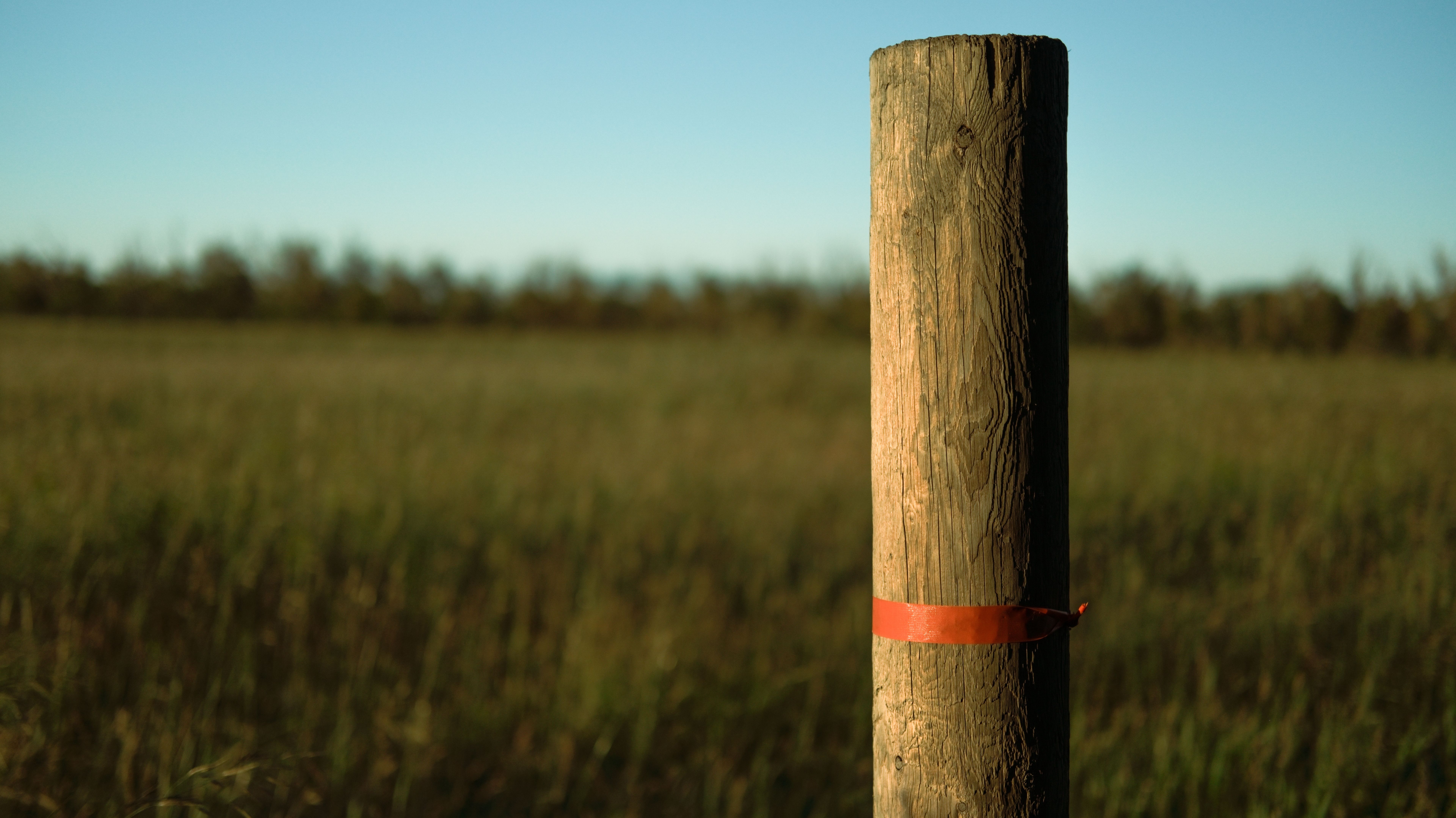 Isolated Fence Post with orange tape around it