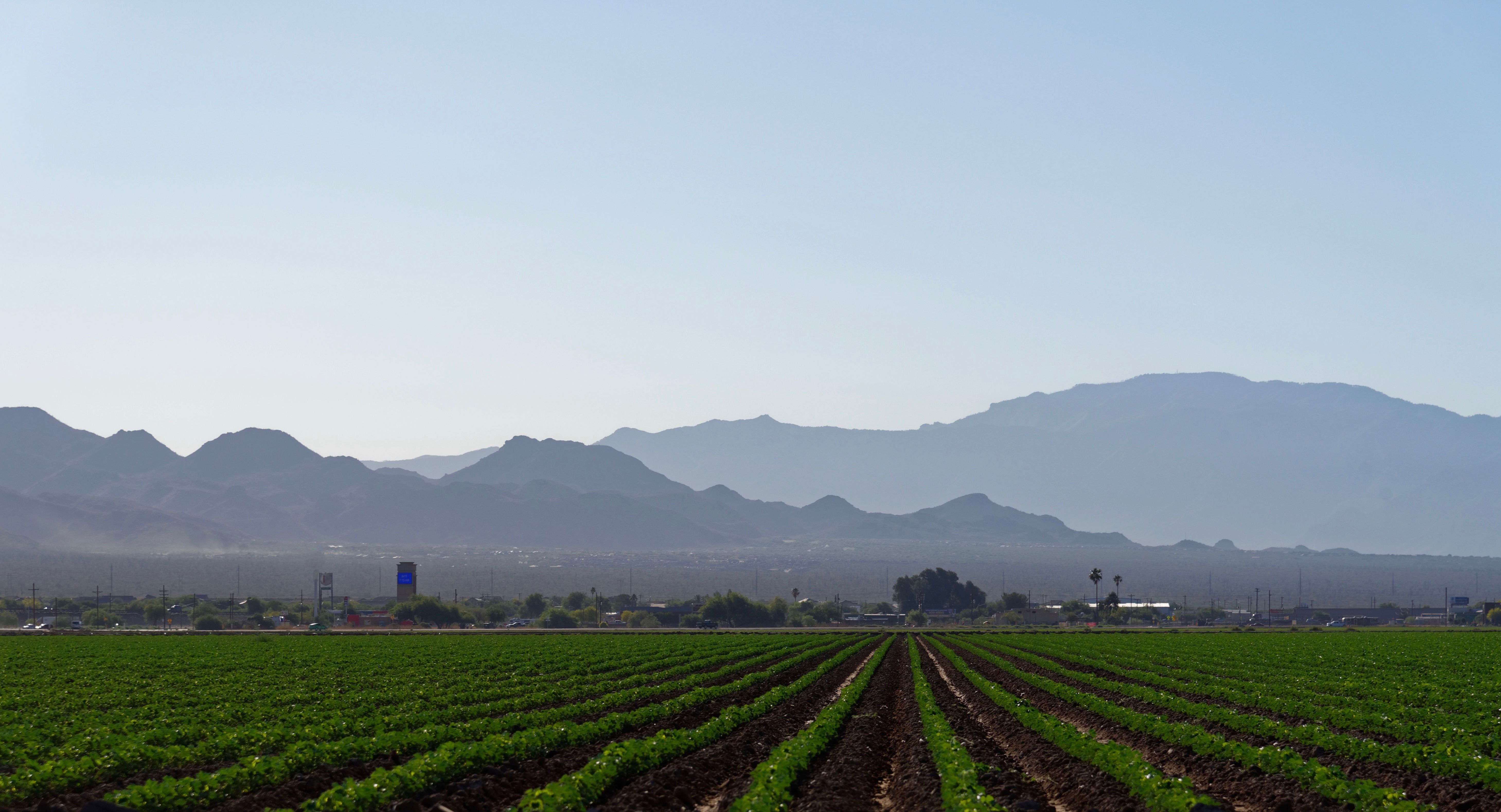 sustainable farming arizona