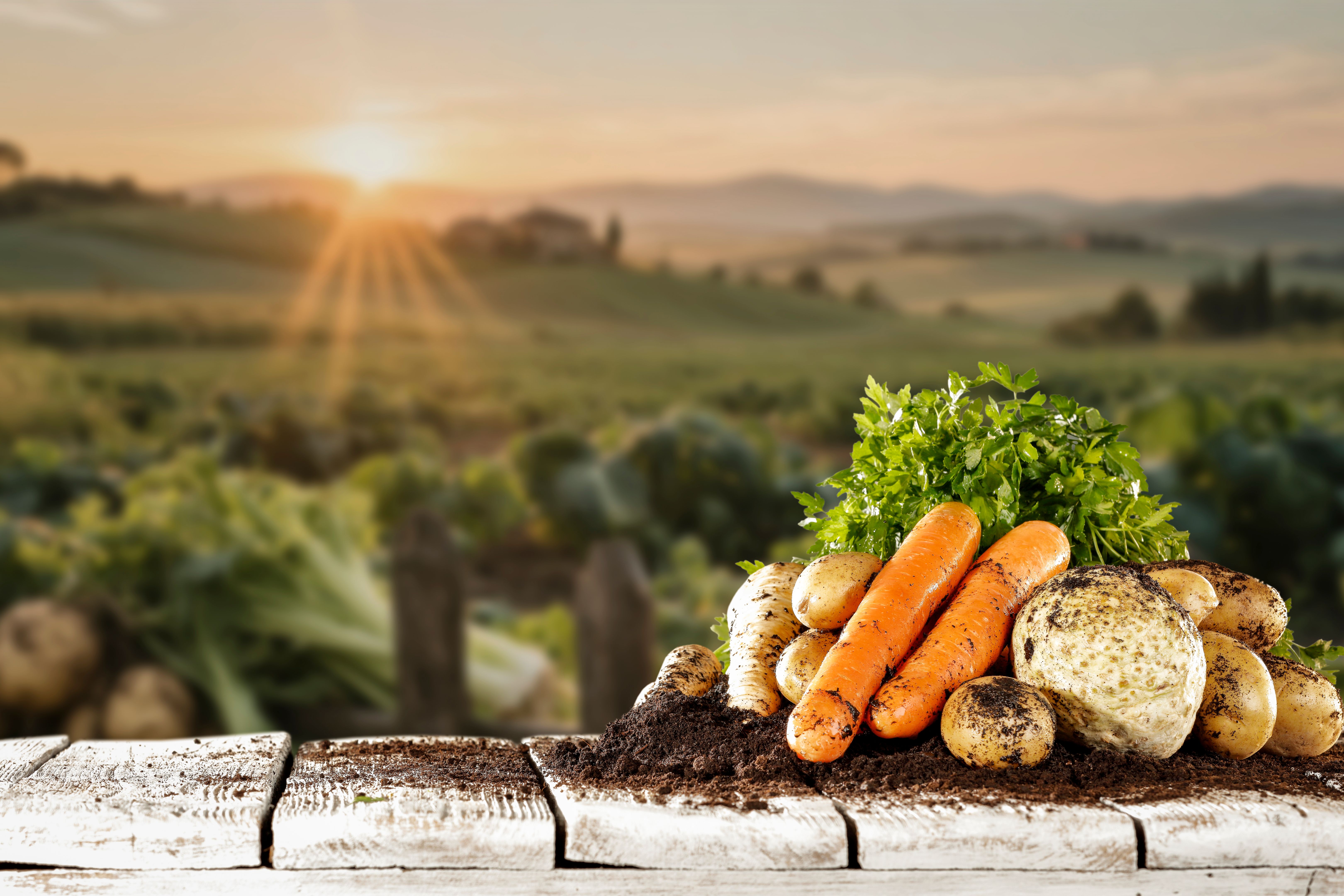 fresh seasonal vegetables