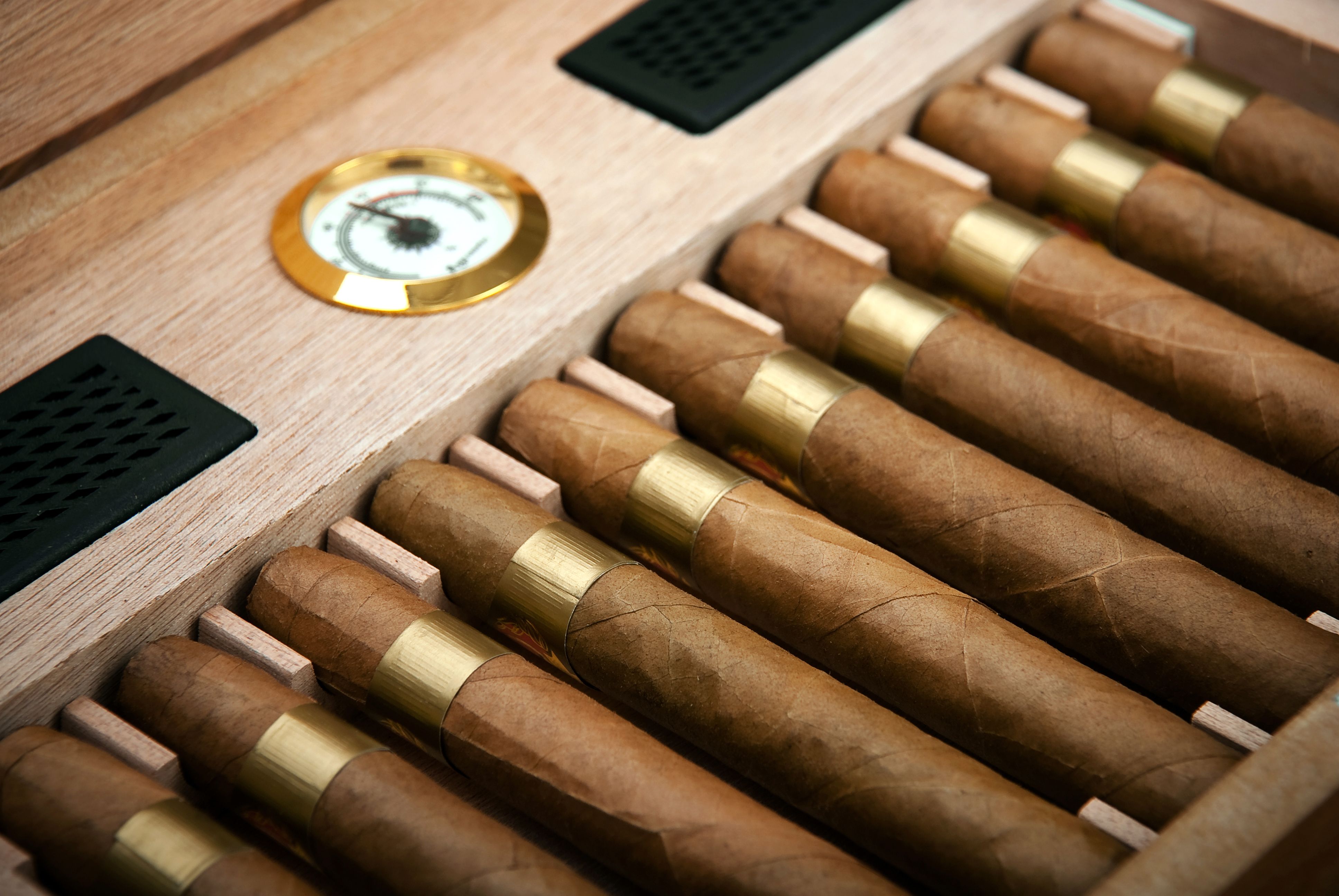 hygrometer cigars