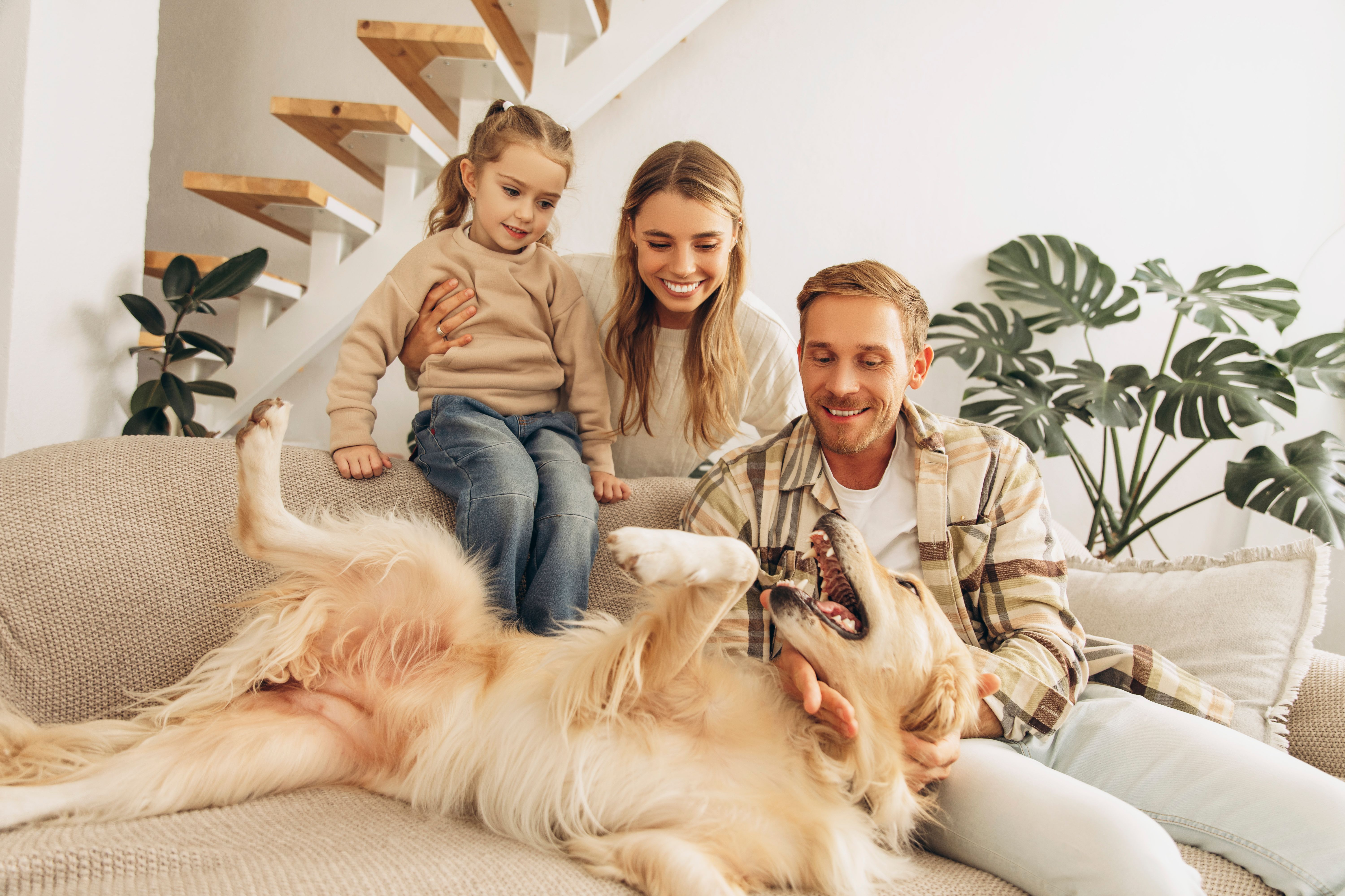 family home interior