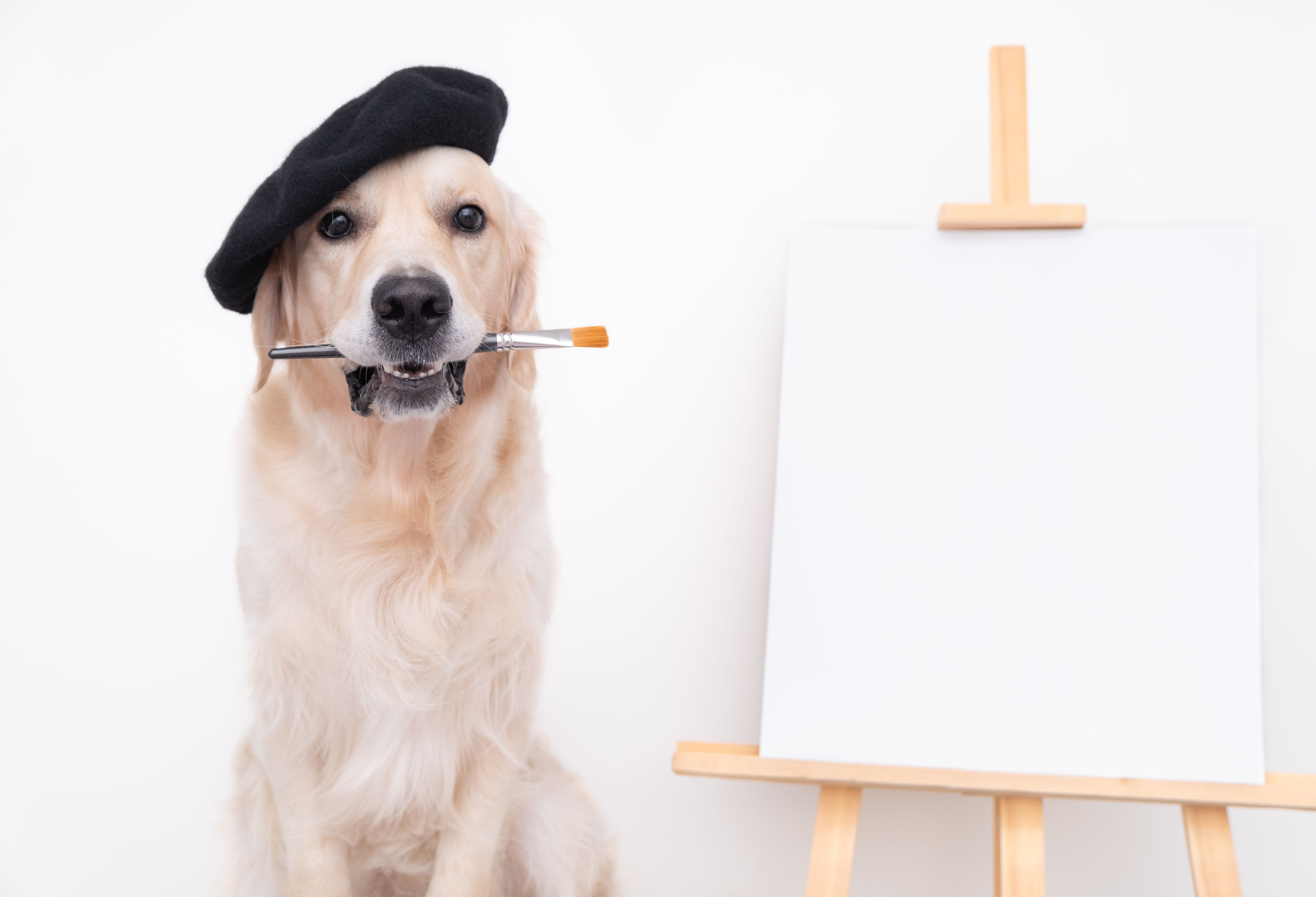 animal art