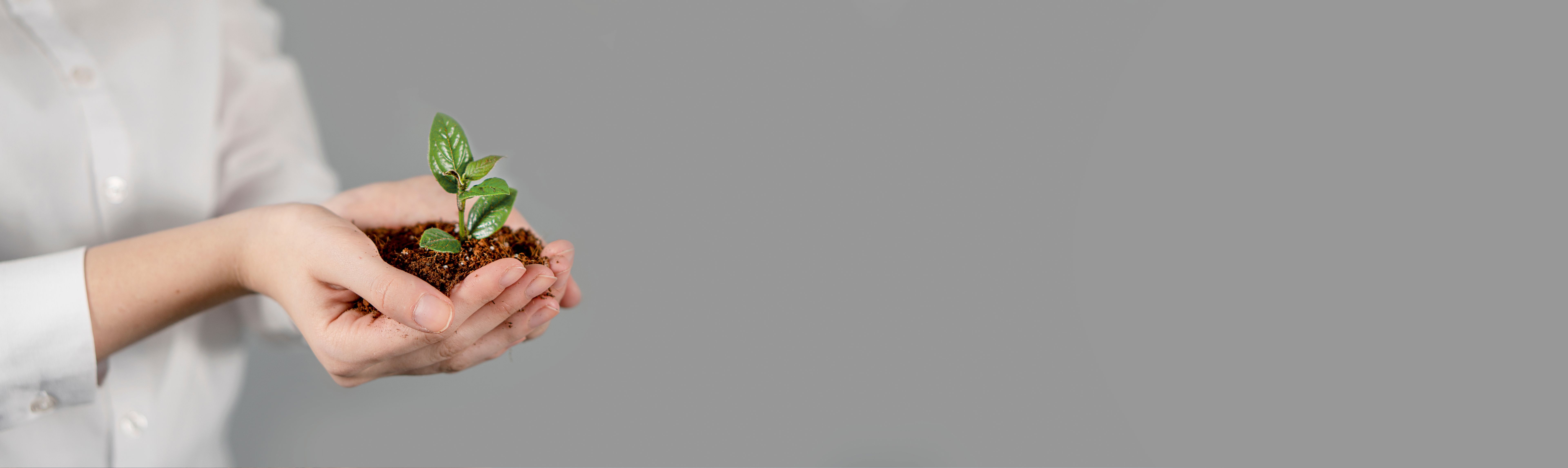 sostenibilidad corporativa