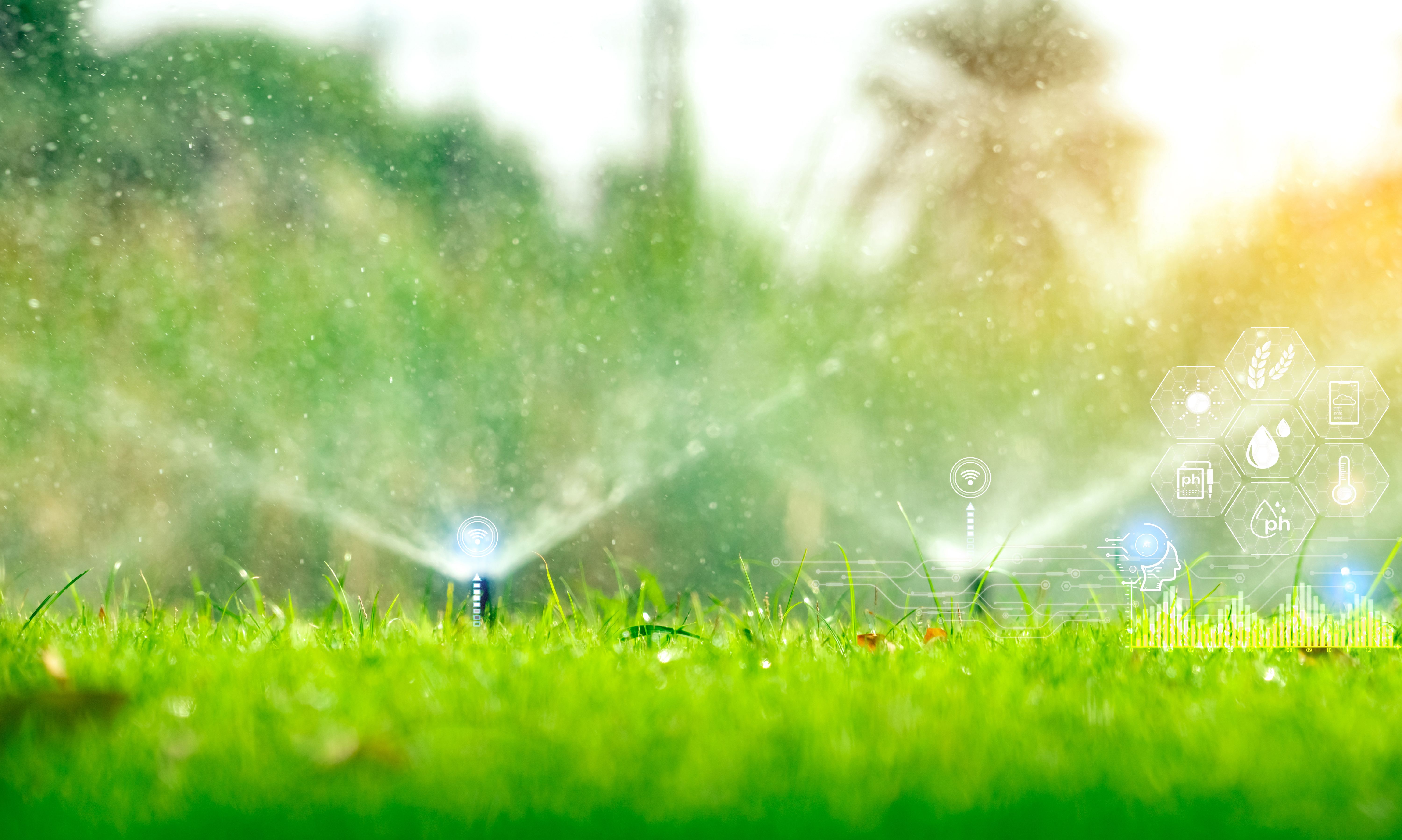 smart irrigation system