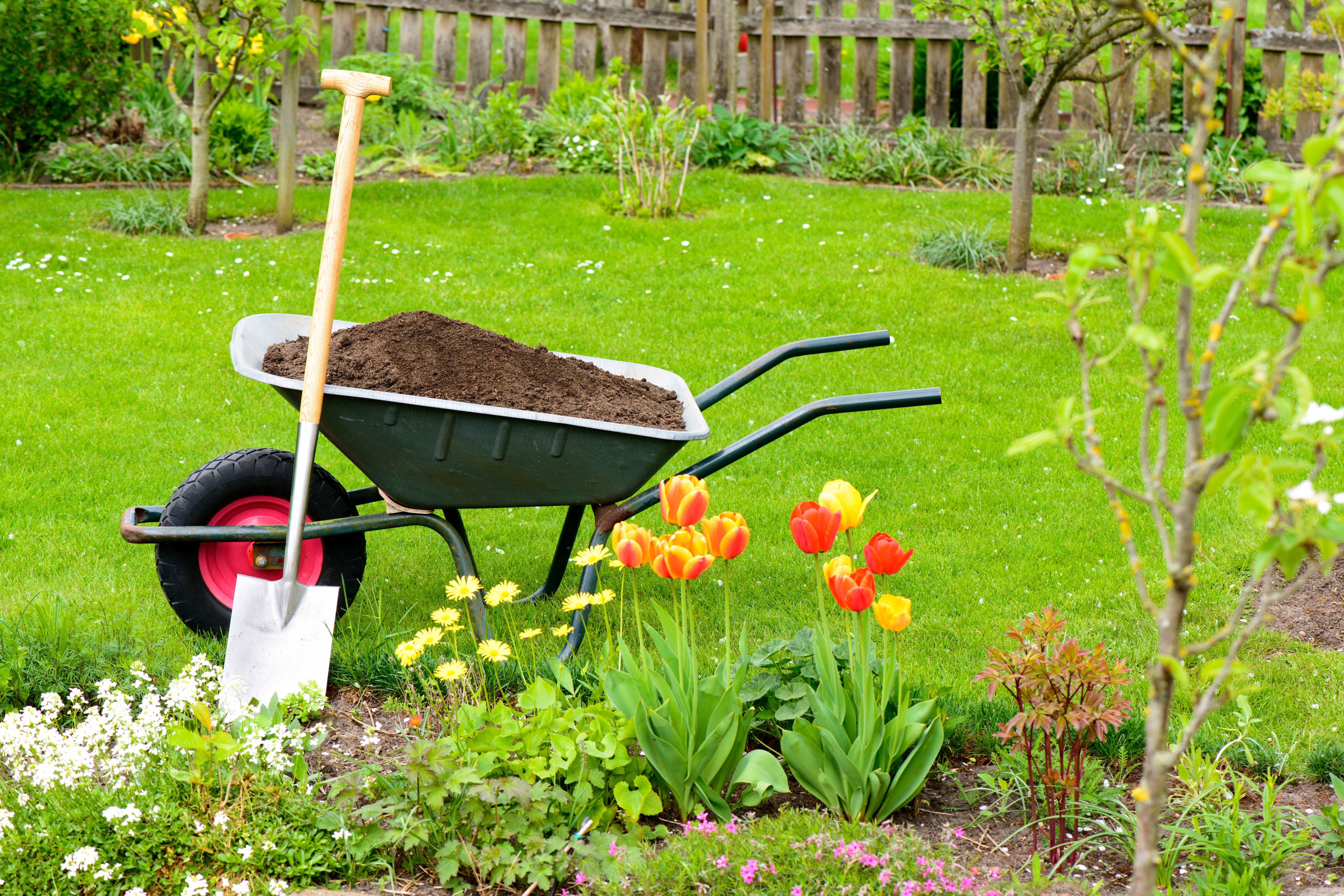 spring garden