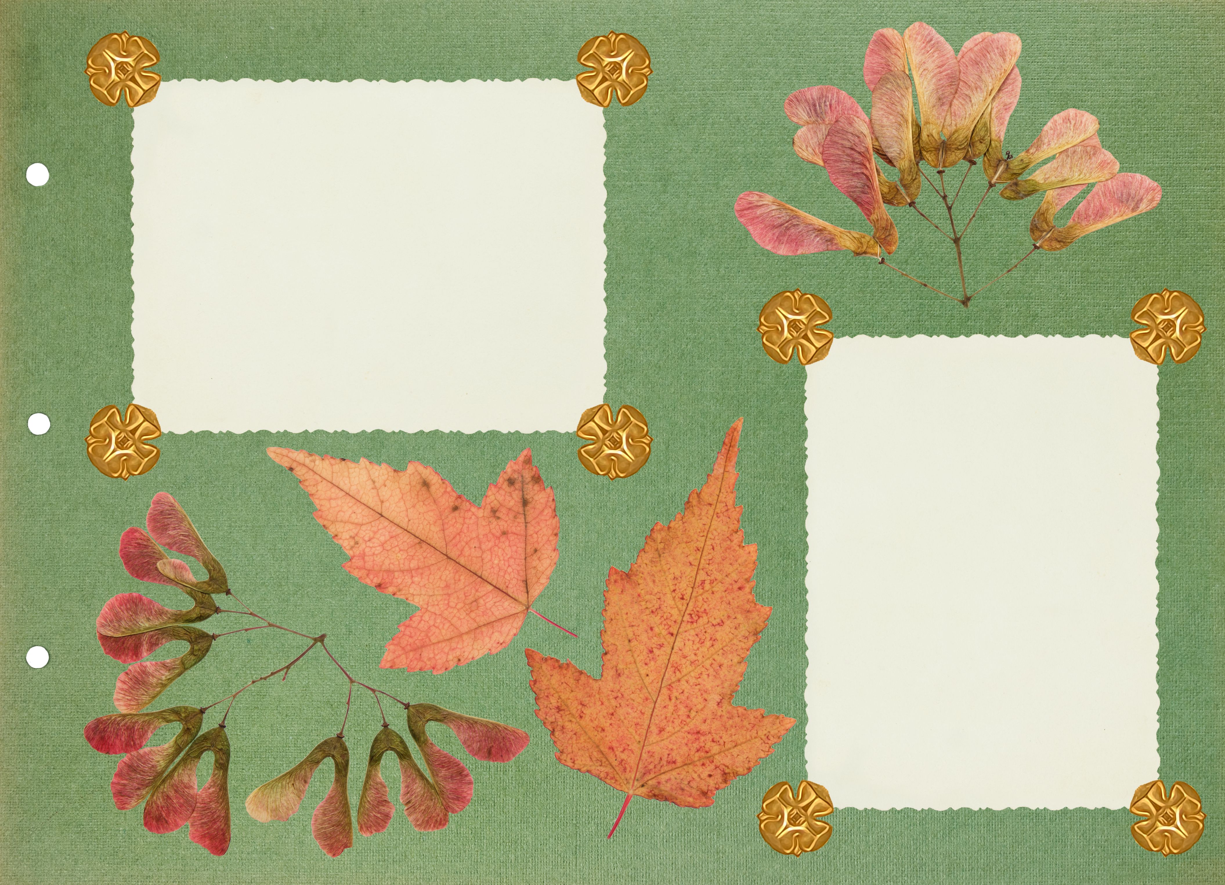 wedding album design