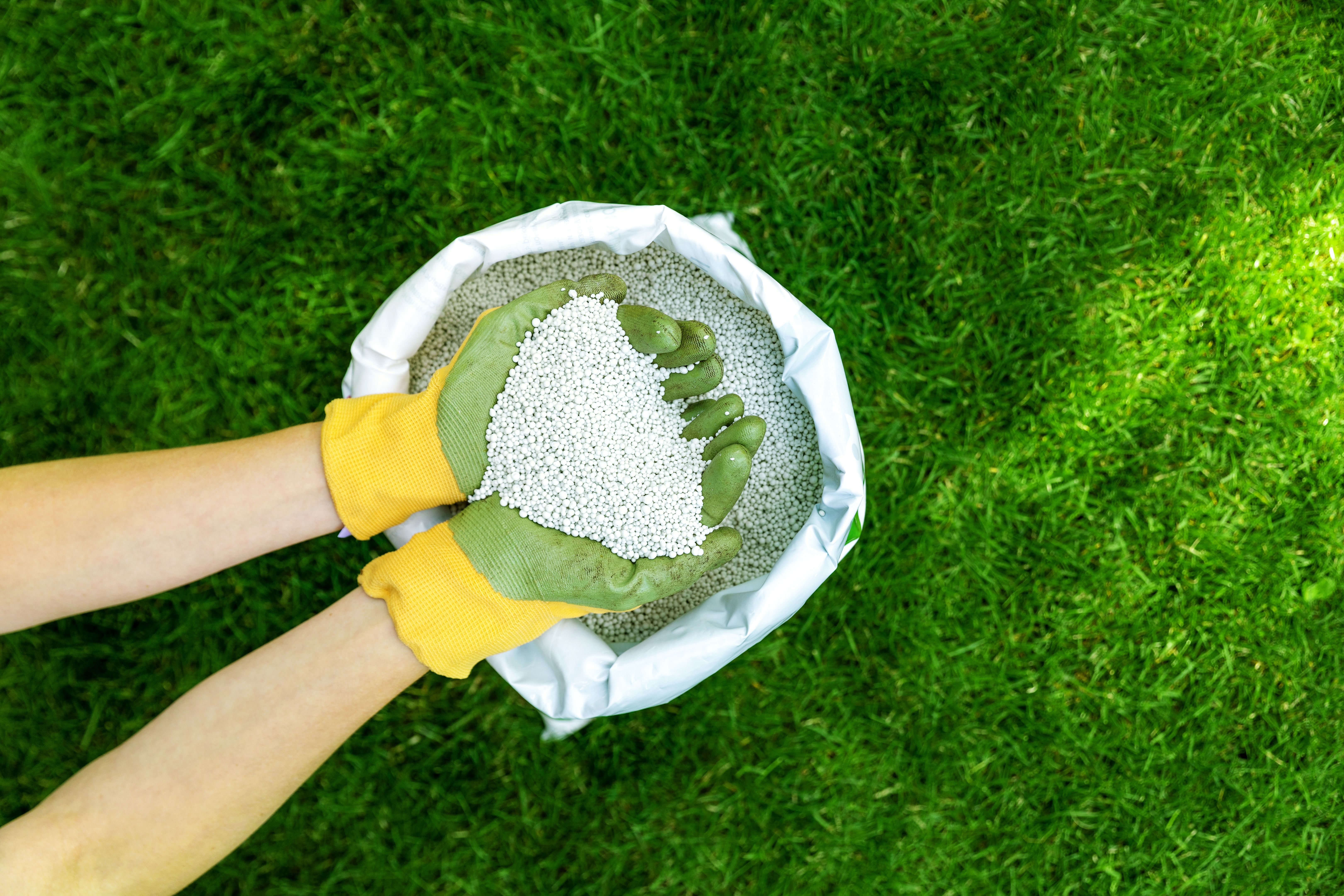 lawn fertilization