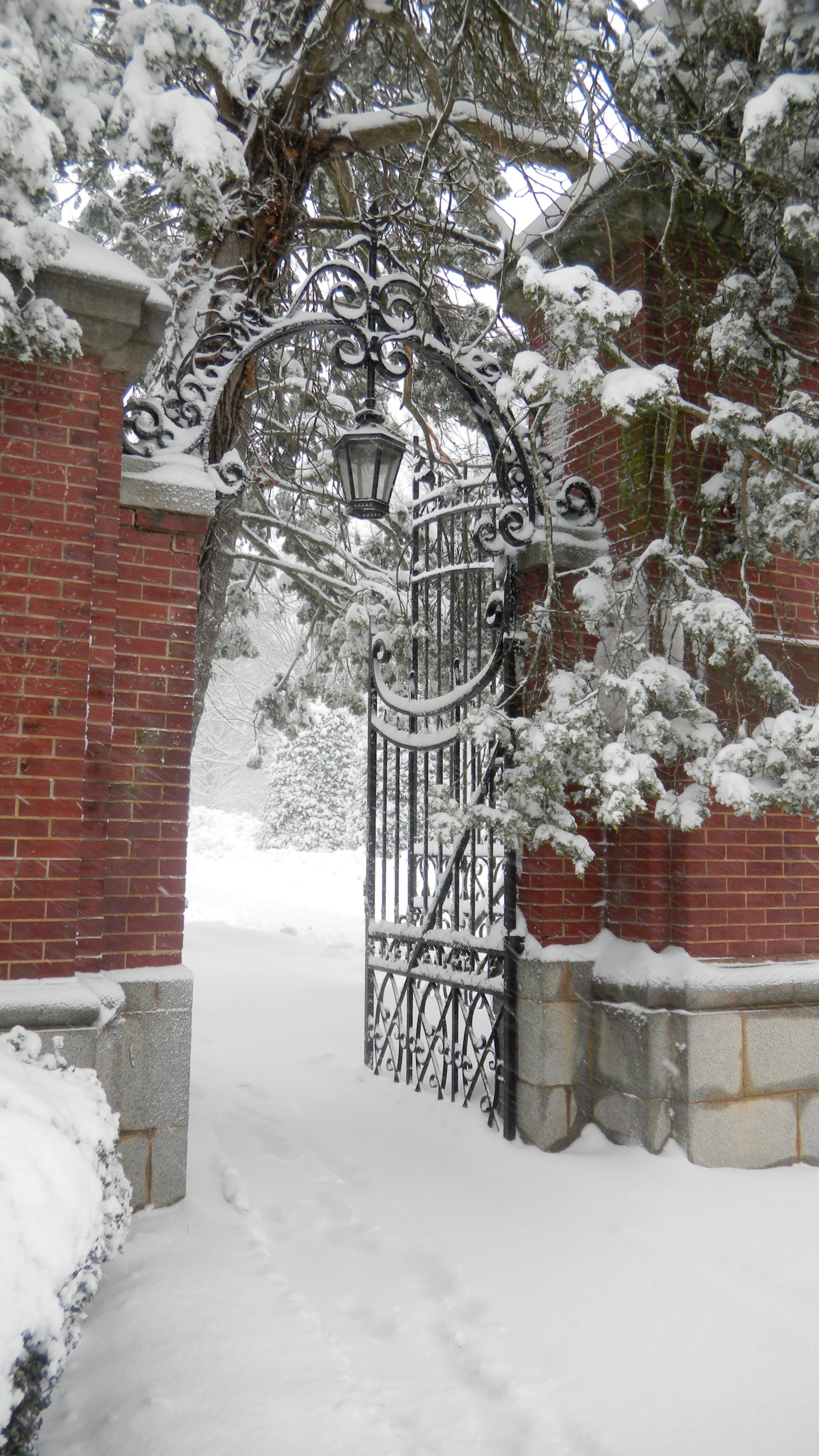 fredericksburg weather