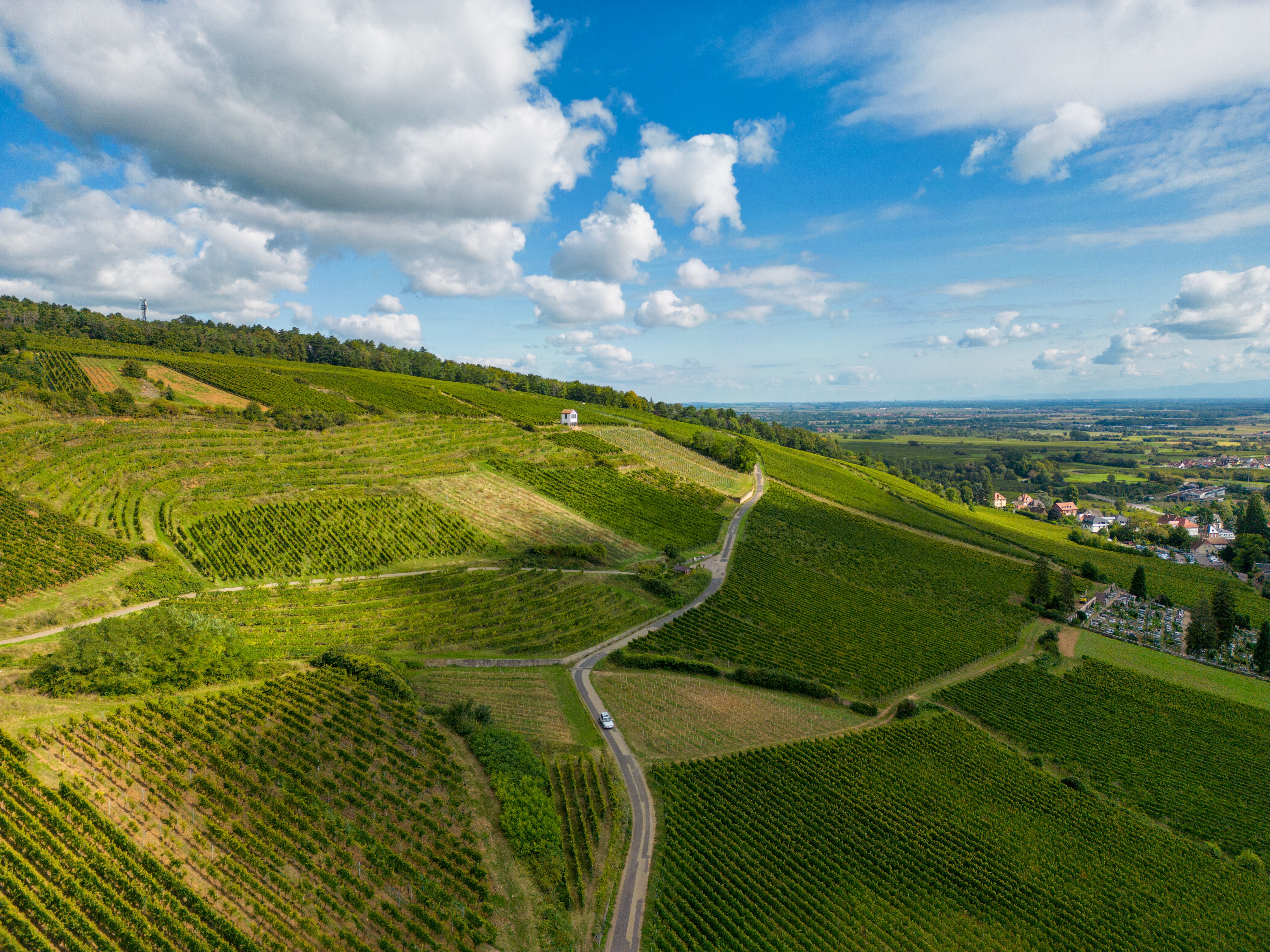 weinberge unterfranken